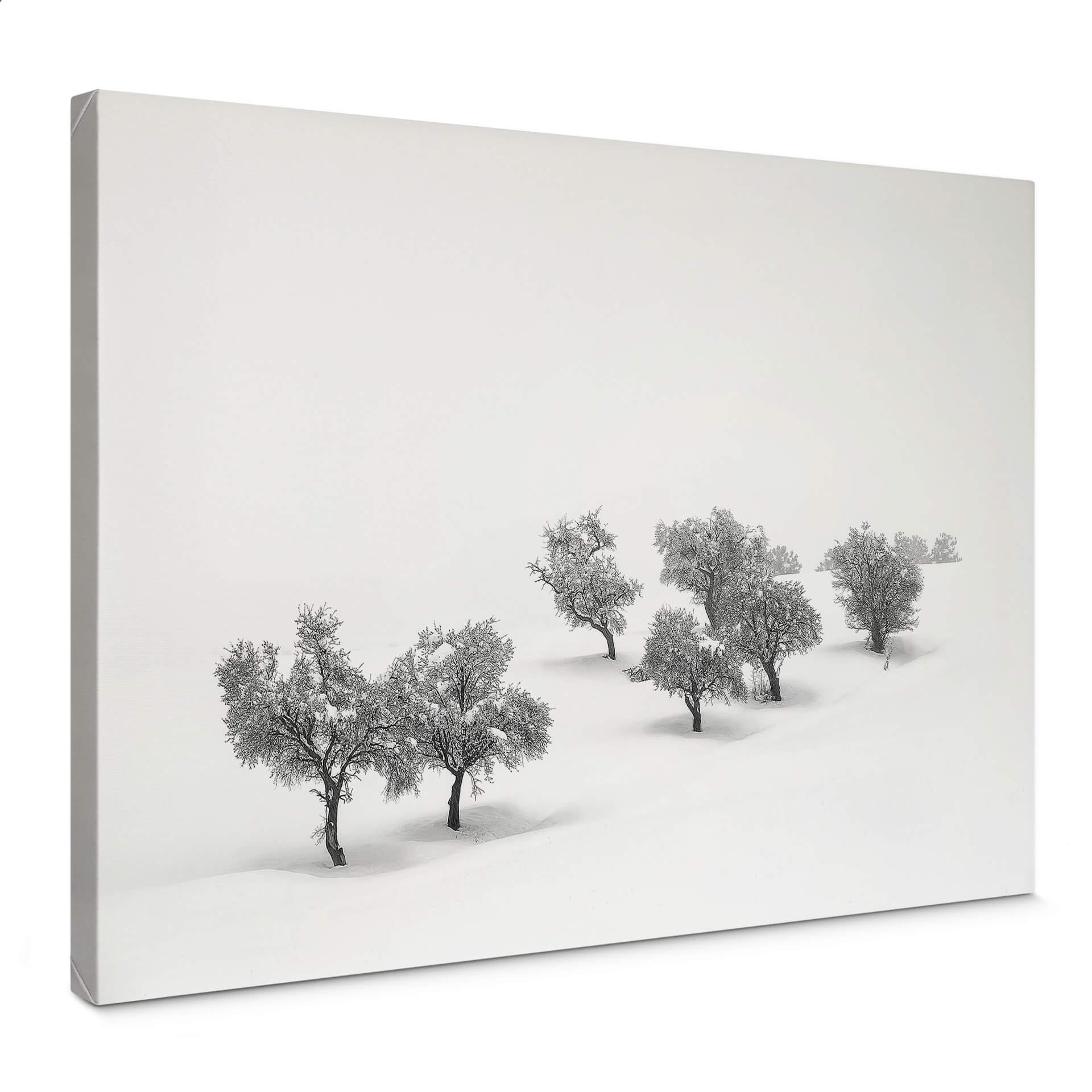 Lienzo Carrillo Lopez - Paisaje blanco con arboles