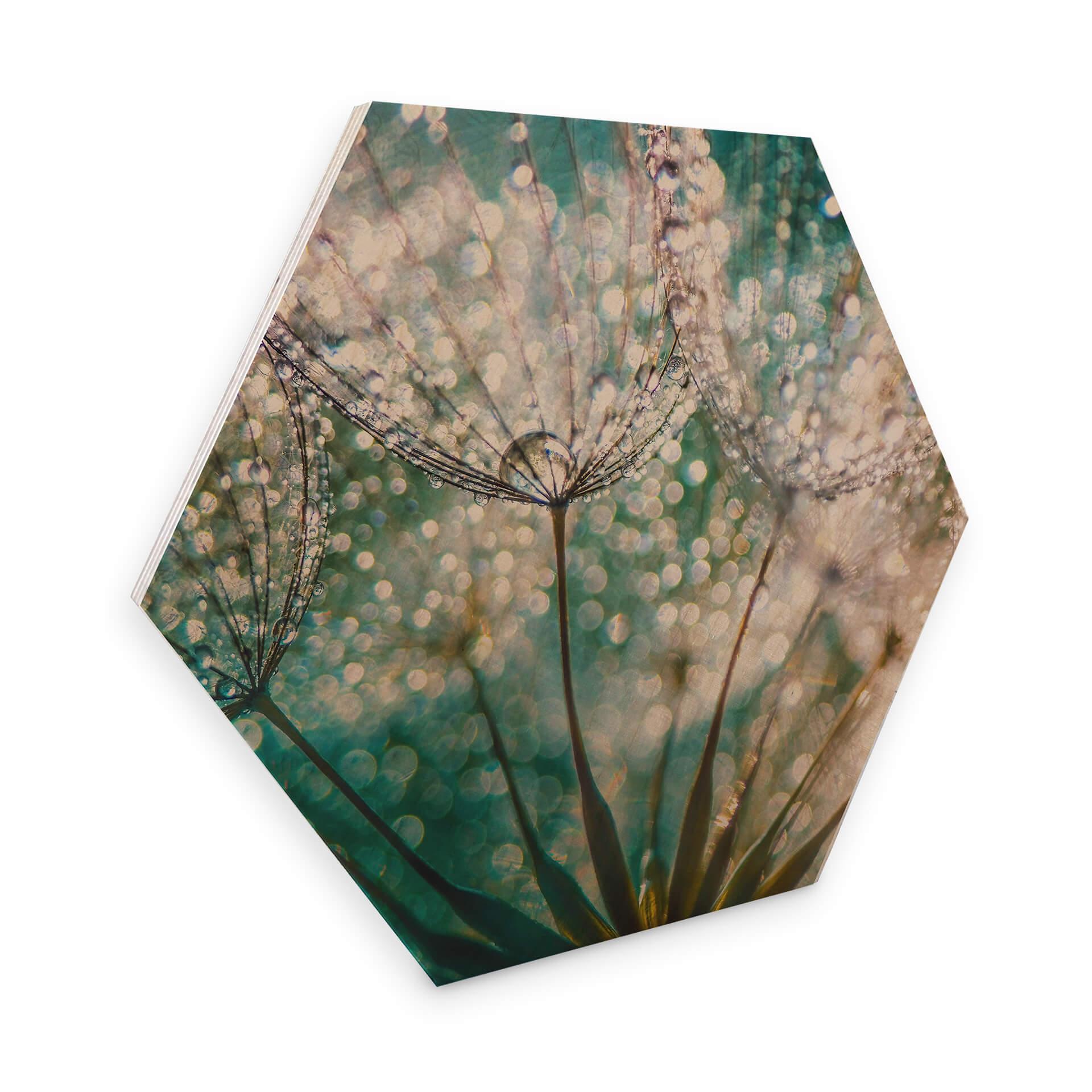 Hexagon - Birkefinér - Delgado - Glittery Dandelions