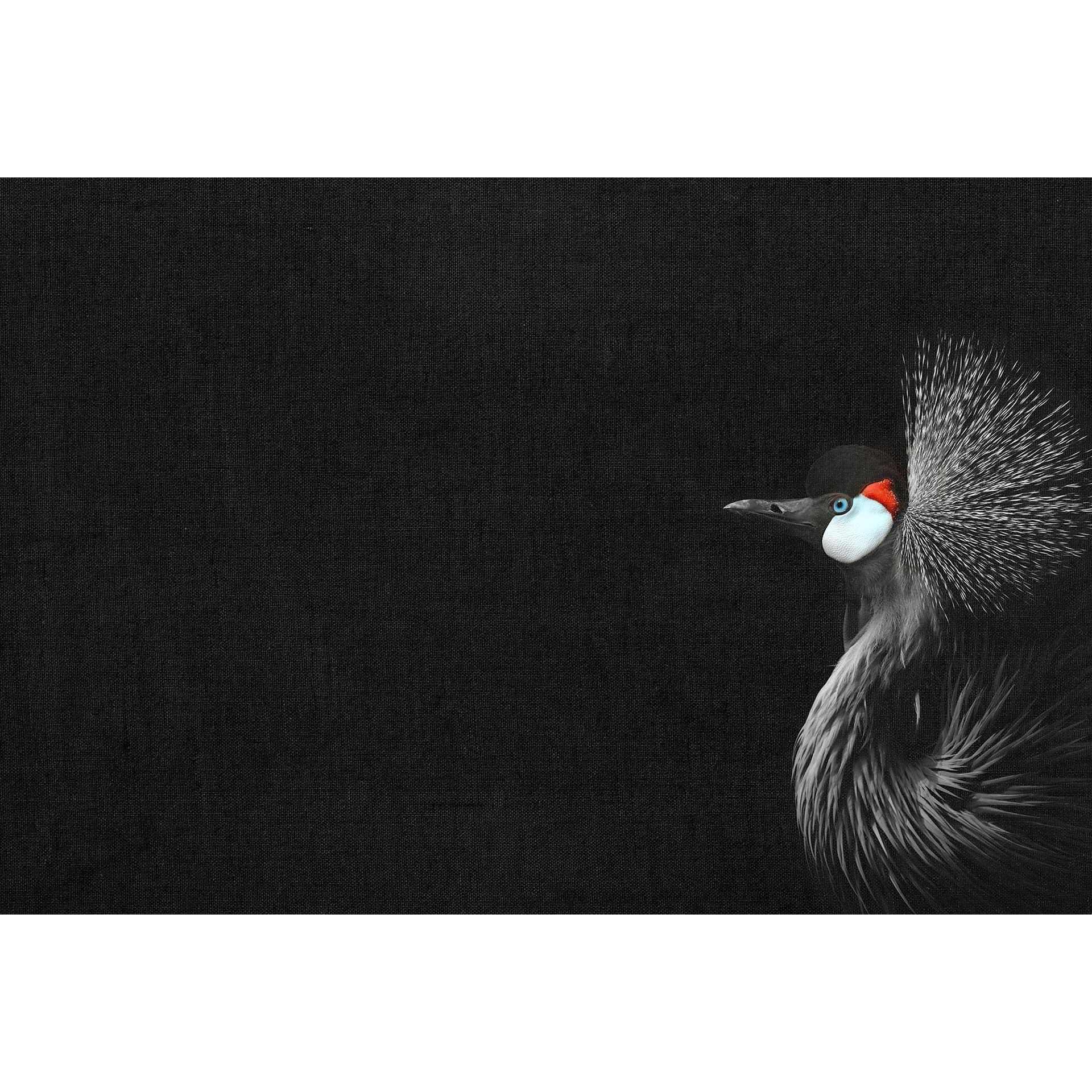 Livingwalls papier peint photo ARTist Crowned Crane Black
