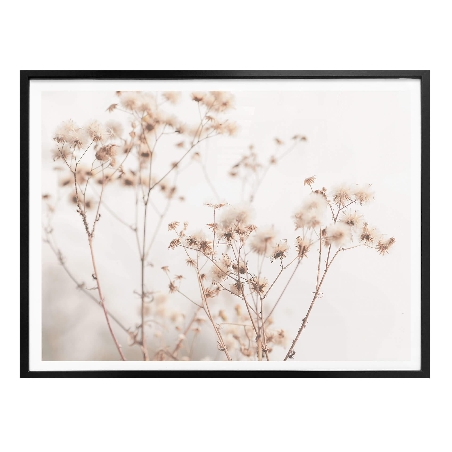 Plakat - Lovely Pastels