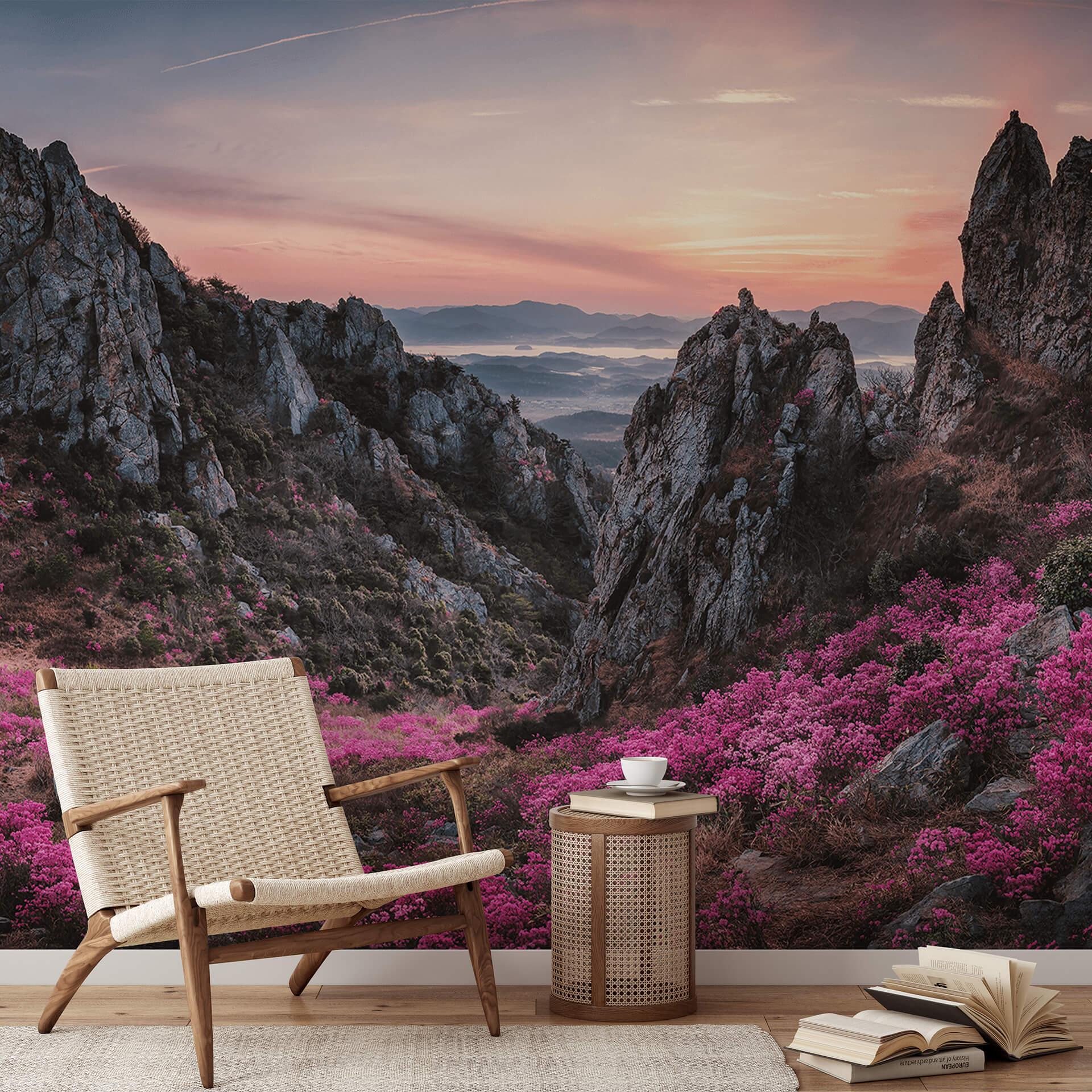 Fotomural Seo - Paisaje rocoso al atardecer