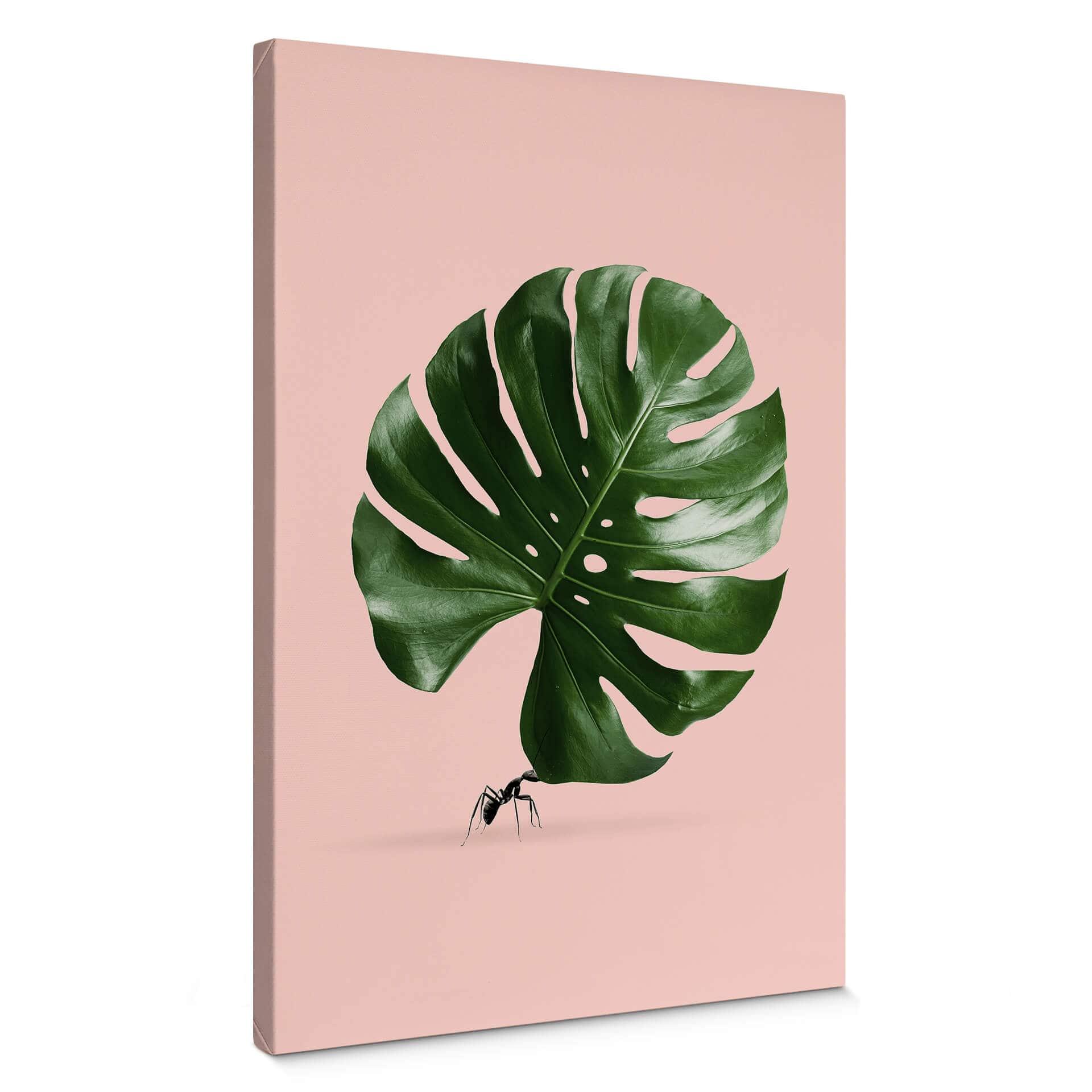 Lienzo Loose - Monstera Ant