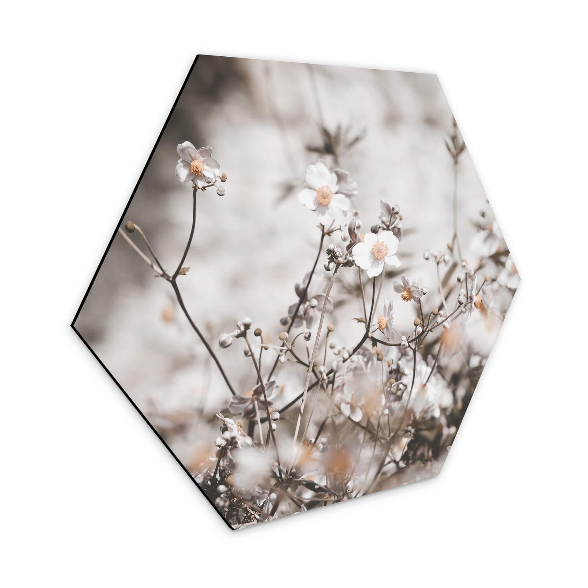 Hexagone - Alu-Dibond Annie - Fleurs sauvages