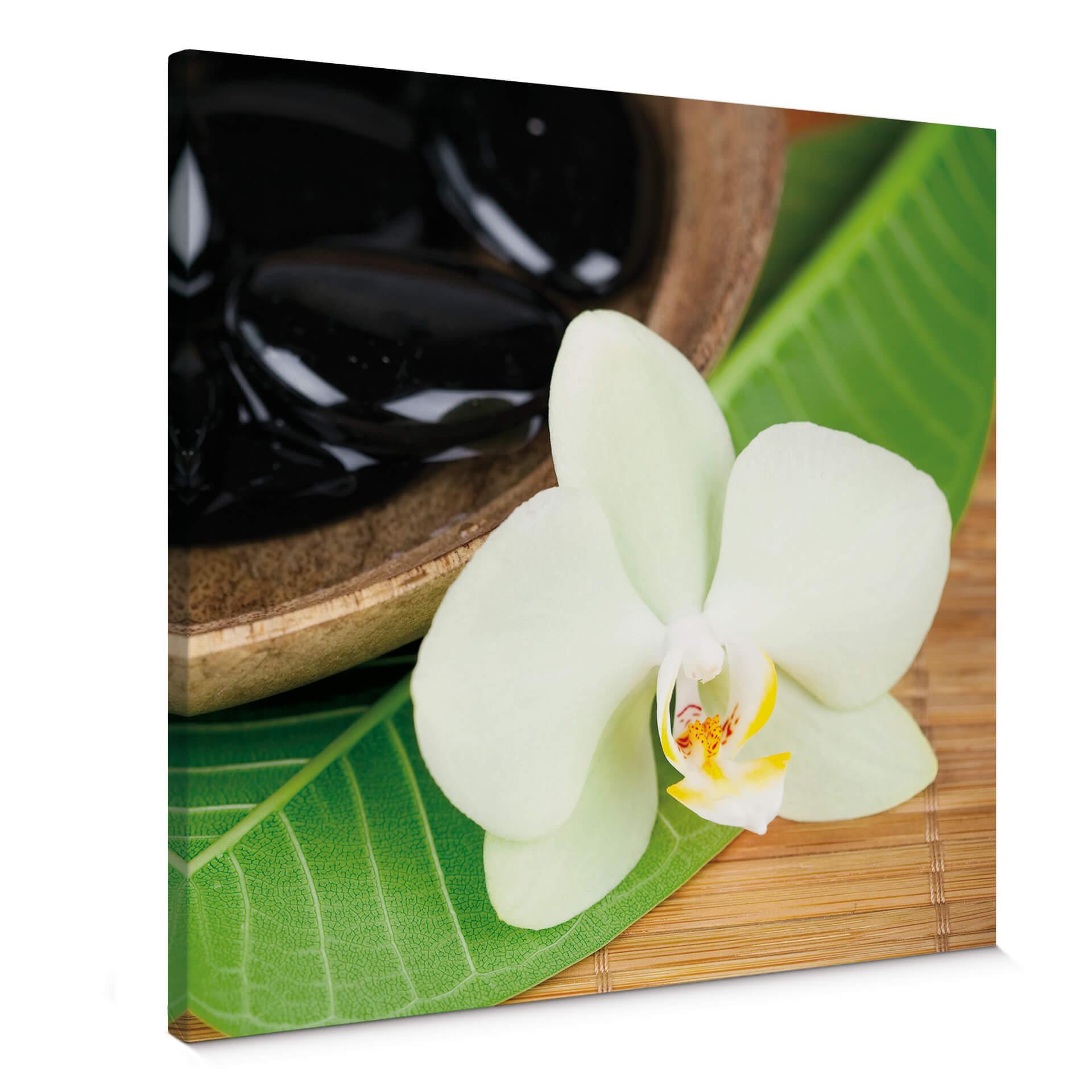 Lienzo Wellness Oasis - cuadrado