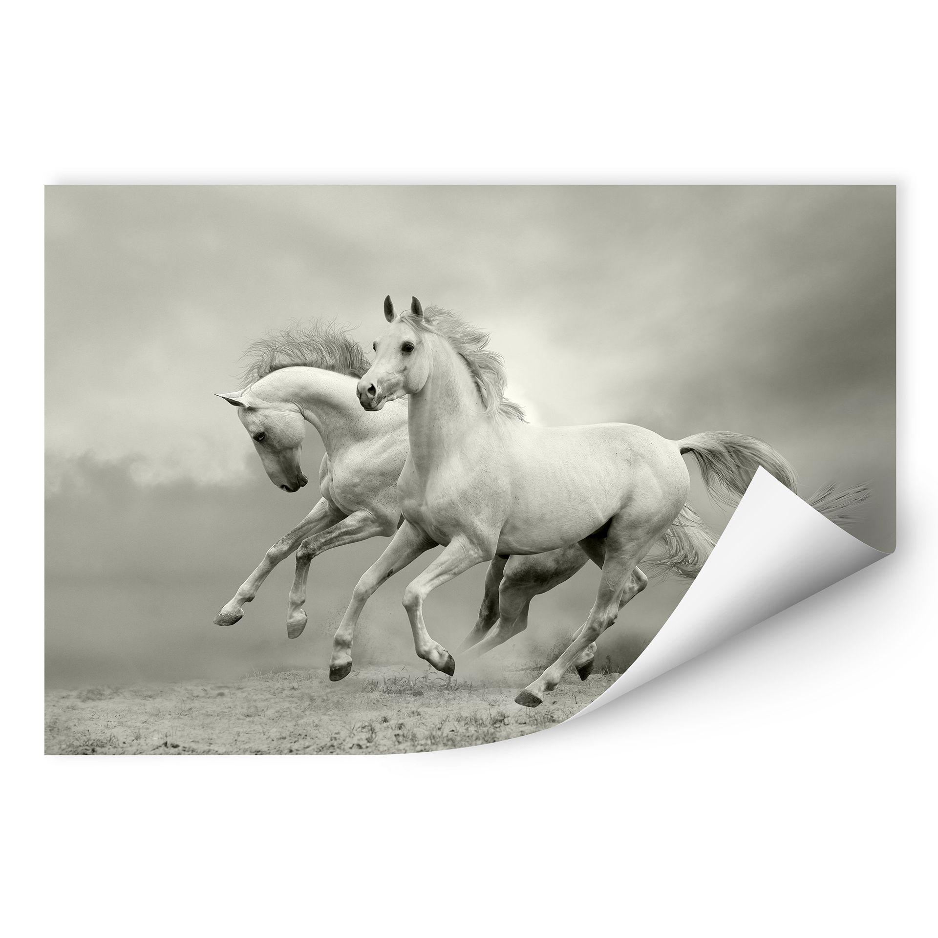 Zelfklevende Poster - Paarden in Galop
