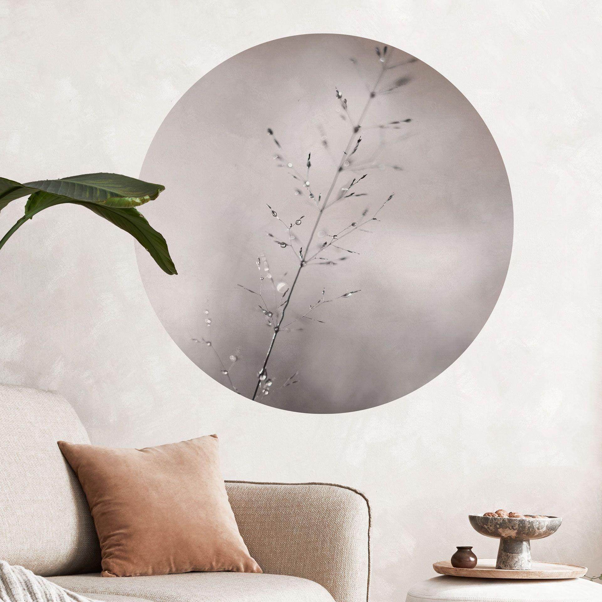 Vinilo decorativo Hoja de hierba con gotas de rocío - Sillen - Redondo