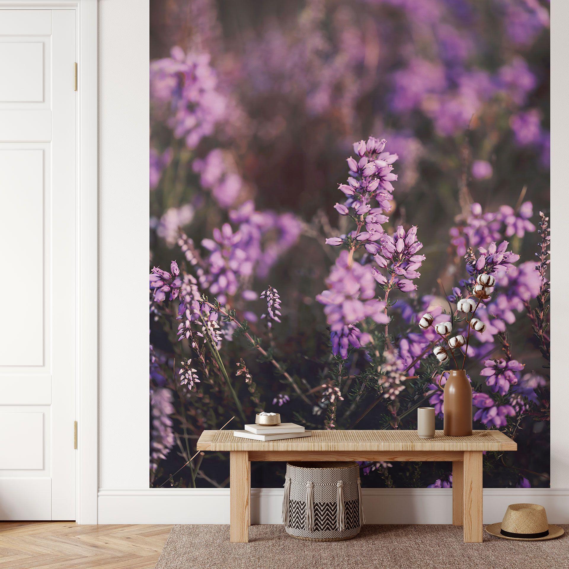 Fotomural de flores de brezo púrpura en luz cálida - Annie