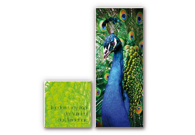 Tableau Forex - Dans chaque créature de la Nature (2 pièces)