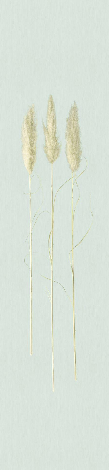 Non-woven tapet, non-woven tapet Naturlig Opulens Grå Grafisk 3,30 x 0,70 cm