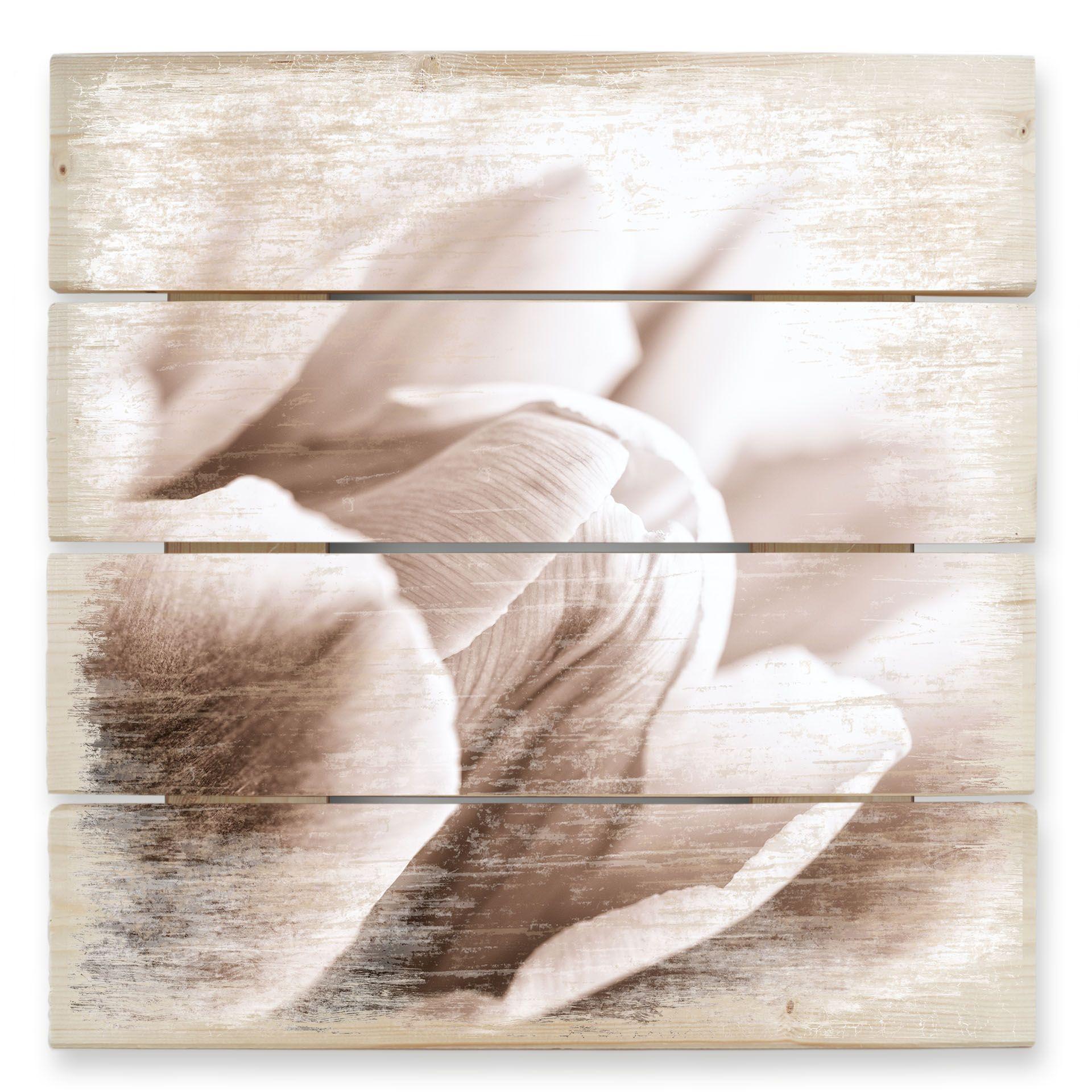 Cuadro de madera tulipán en detalle - 40x41,5 cm