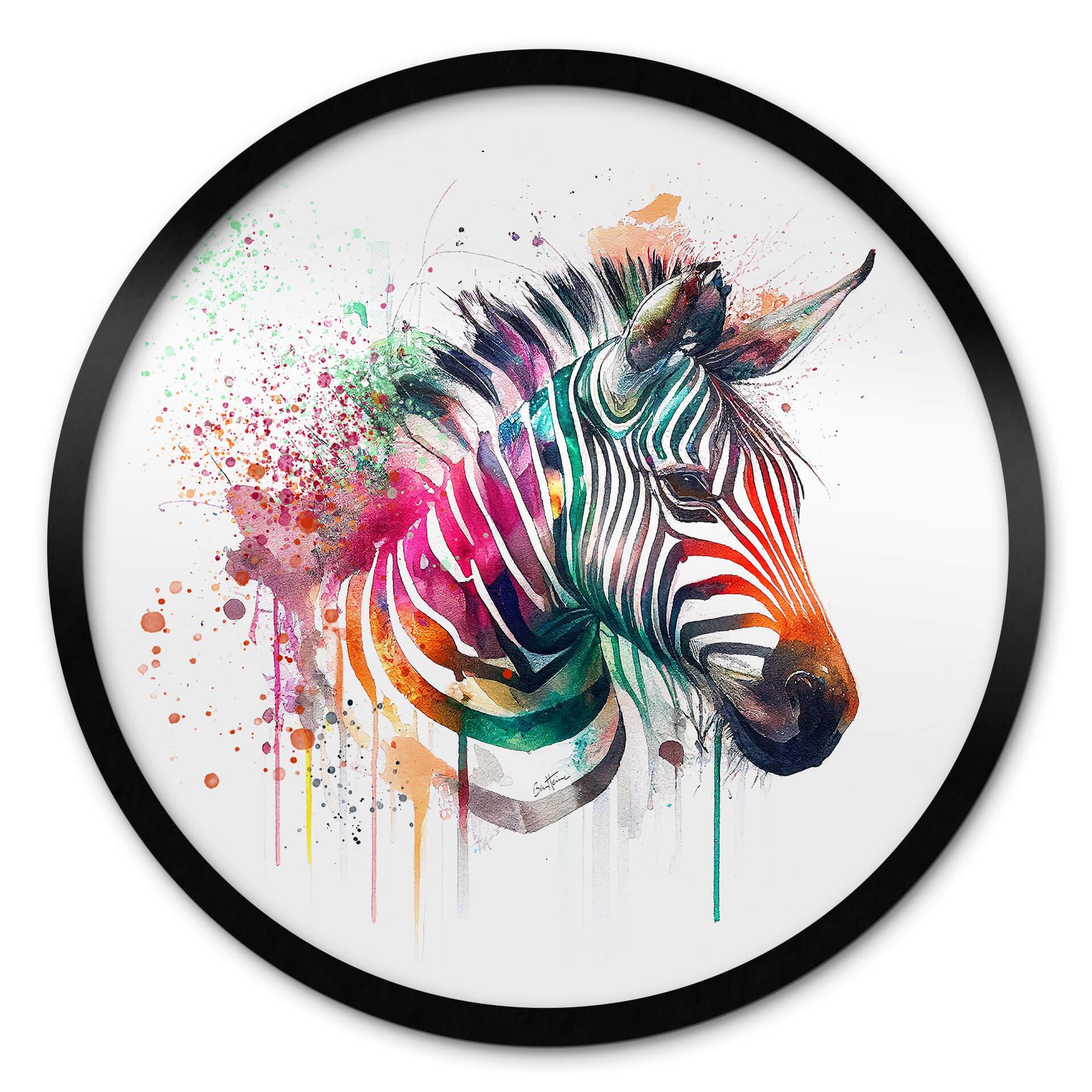 Plakat Heine - Rainbow Zebra