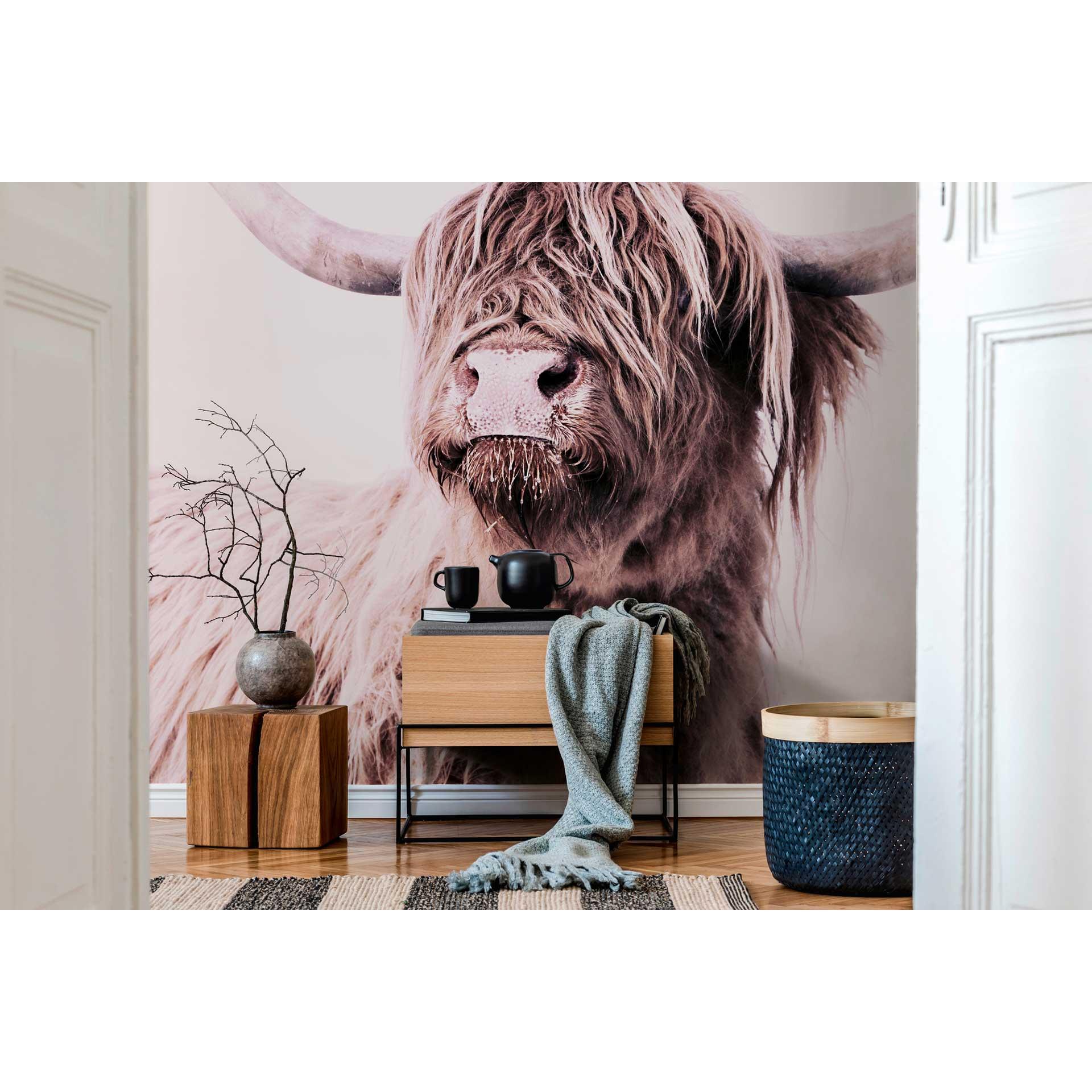 Livingwalls papier peint photo ARTist Highland Cattle marron, crème