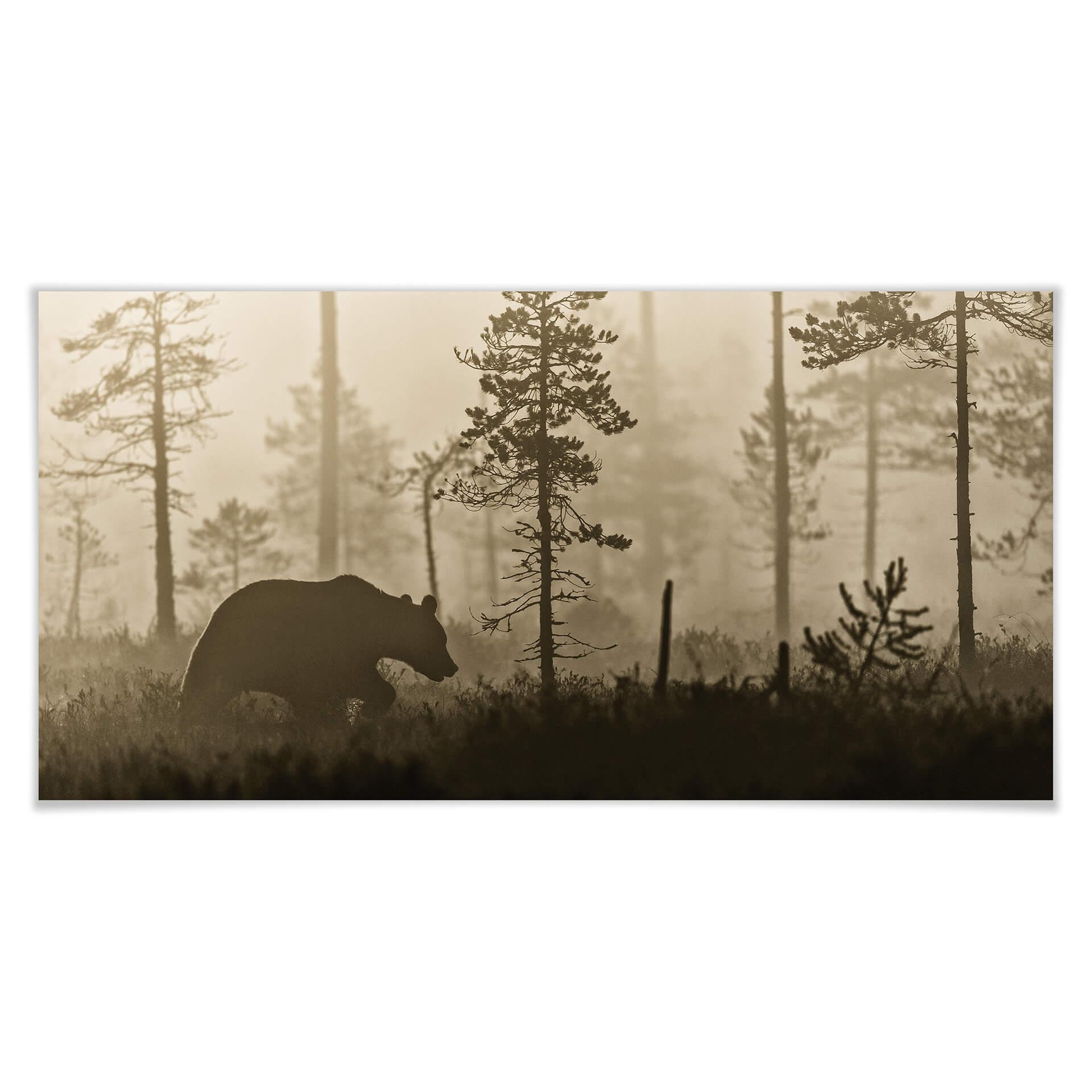 Póster Ove Linde - Niebla por la mañana - Panorama