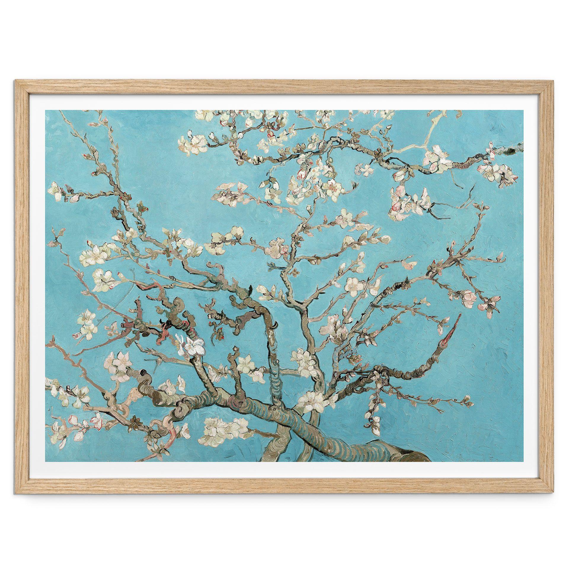 Póster van Gogh - Almendros en flor