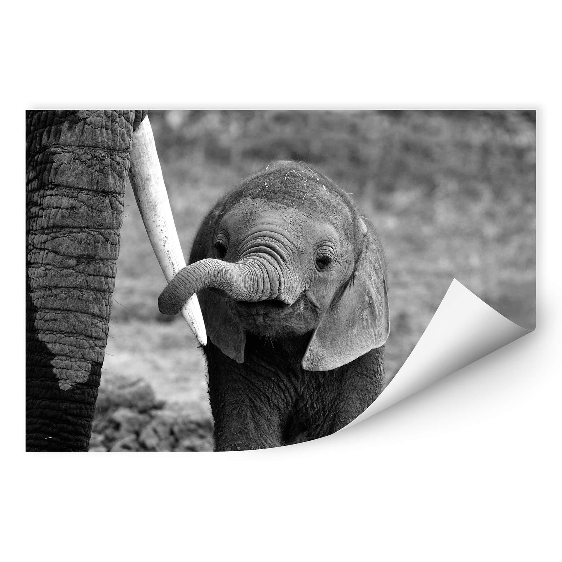 Zelfklevende Poster Alicke - Close to Mom