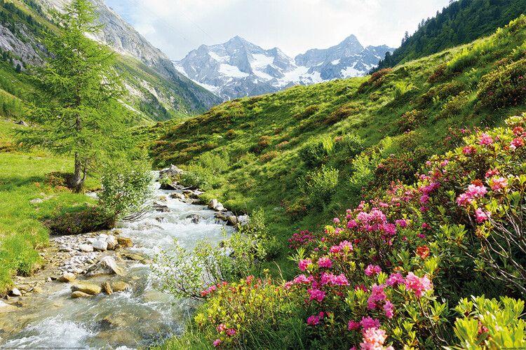 Plakat Alperne - Natur og bjerge, plakat (120 x 80 cm)