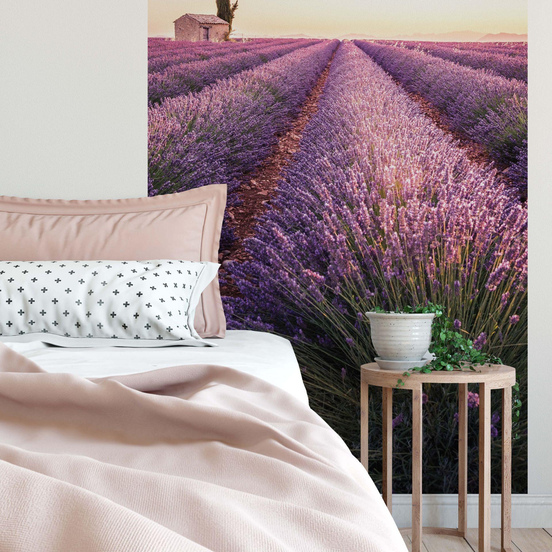Fototapet Lavendel - 144x260 cm
