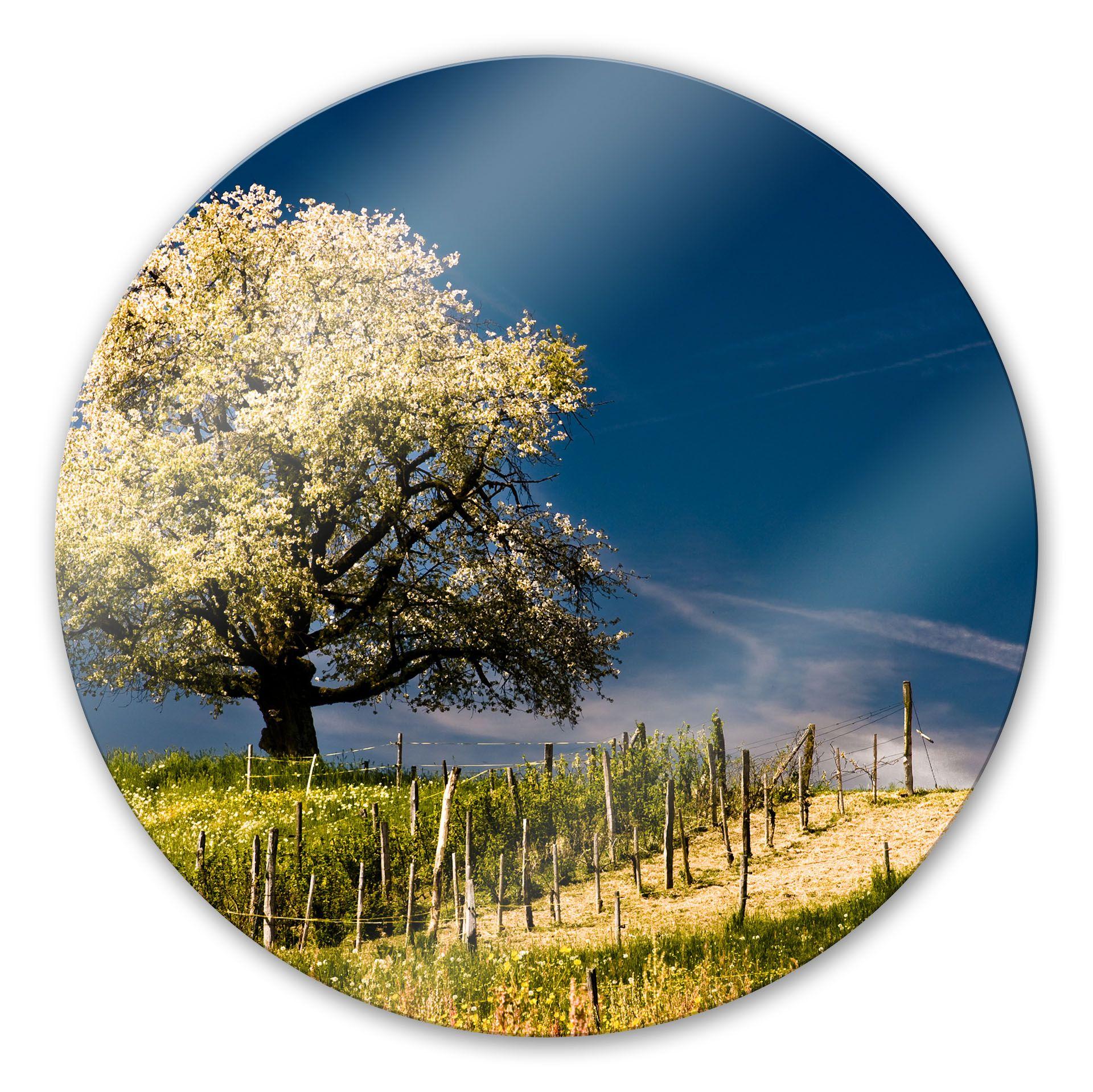 Tableau en verre - Floraison en avril - Rond