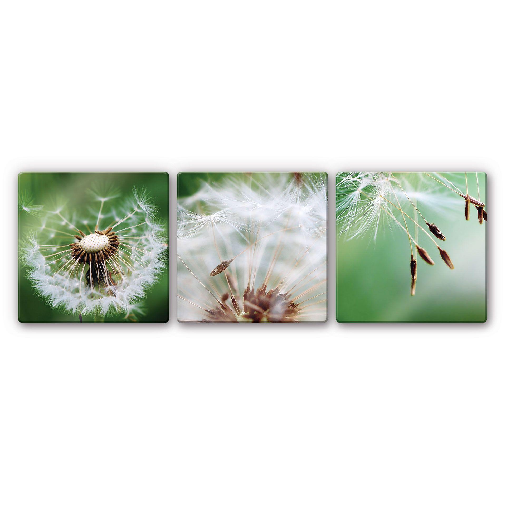 Glasschilderijen Paardebloemen in de Wind (3-delig)