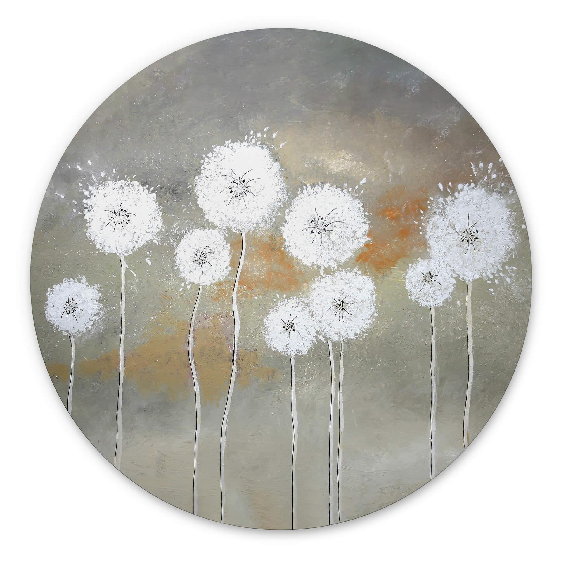 Vægcirkel Melz - White Dandelions – print på aluminium (Alu-Dibond)