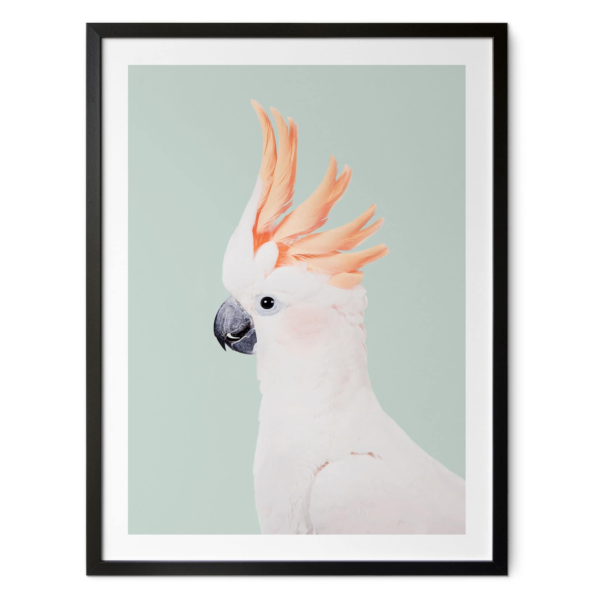 Póster retrato animal cacatúa rosa - Sisi & Seb