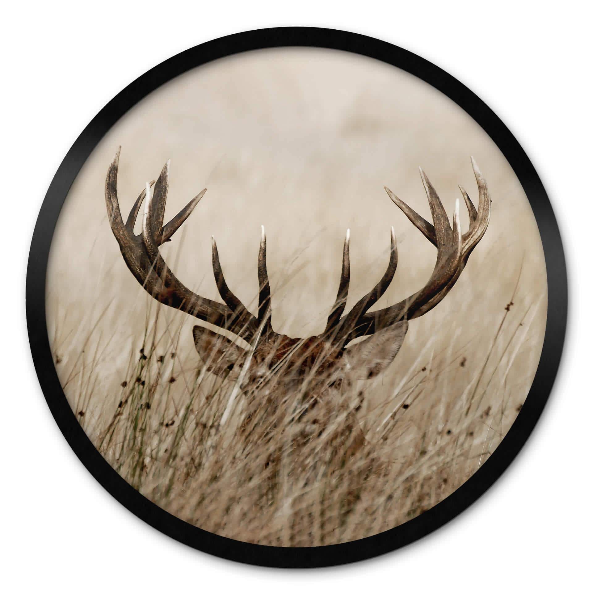 Plakat Deer