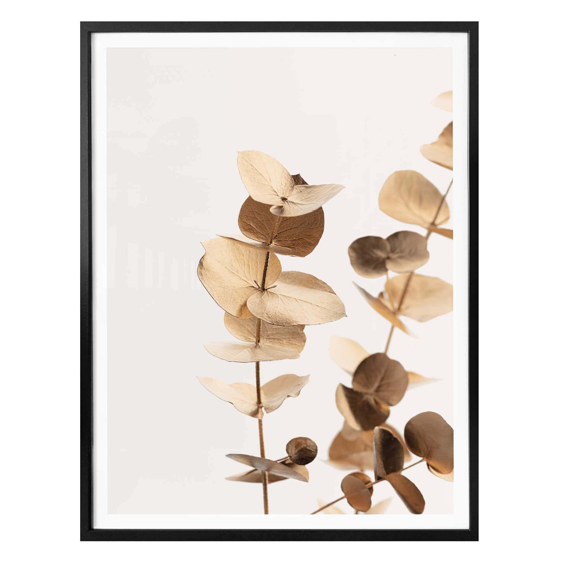 Plakat - 1X Studio - Golden Eucalyptus
