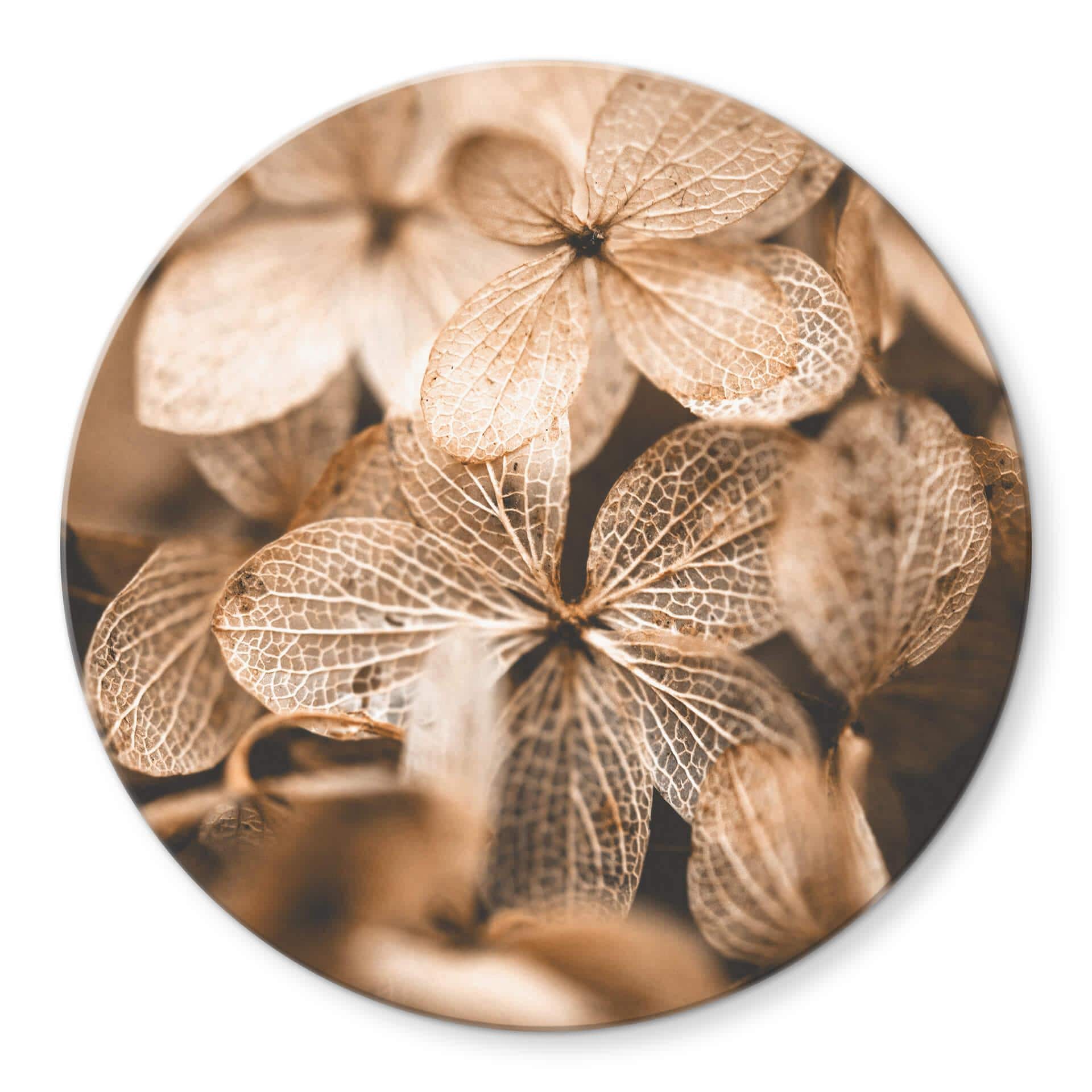 Tableau sur verre Annie - Fleurs délicates - Rond