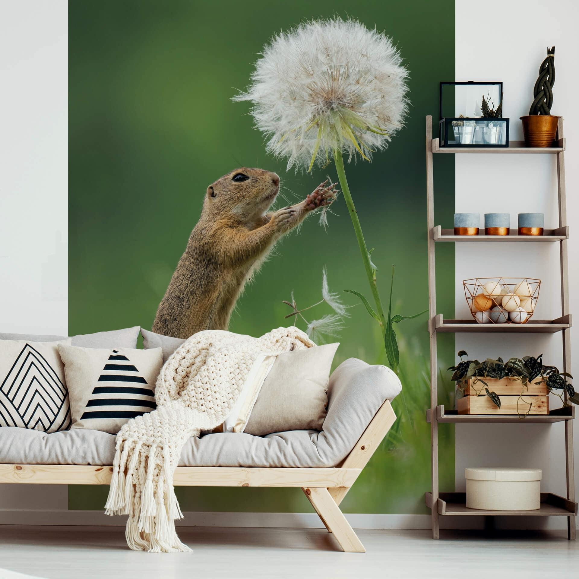 Fototapete van Duijn - Erdhörnchen mit Pusteblume- 192x260 cm