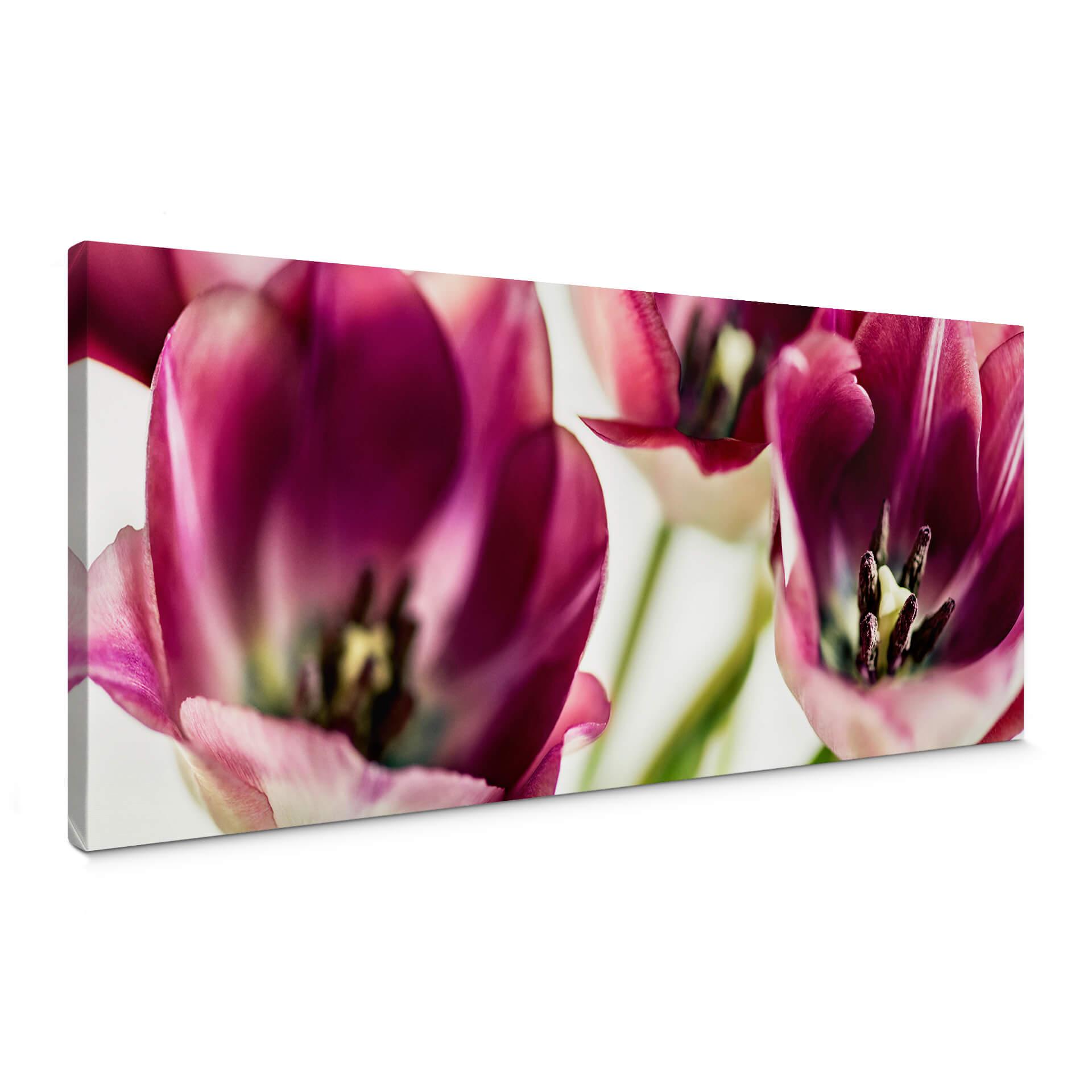 Lienzo Bsmart - Tulipanes