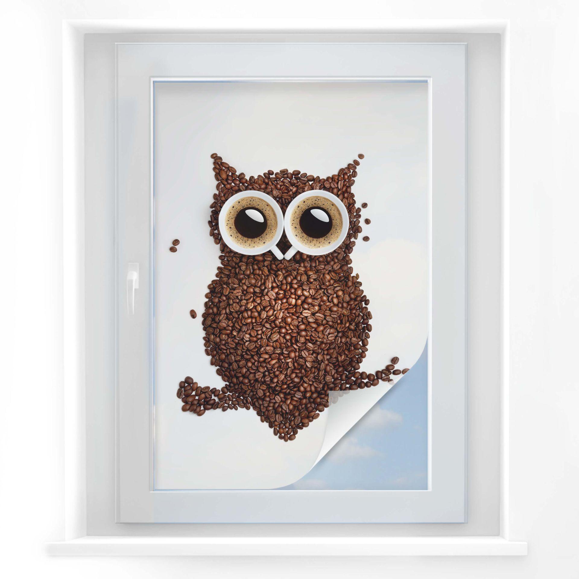 Película de privacidad Coffee owl