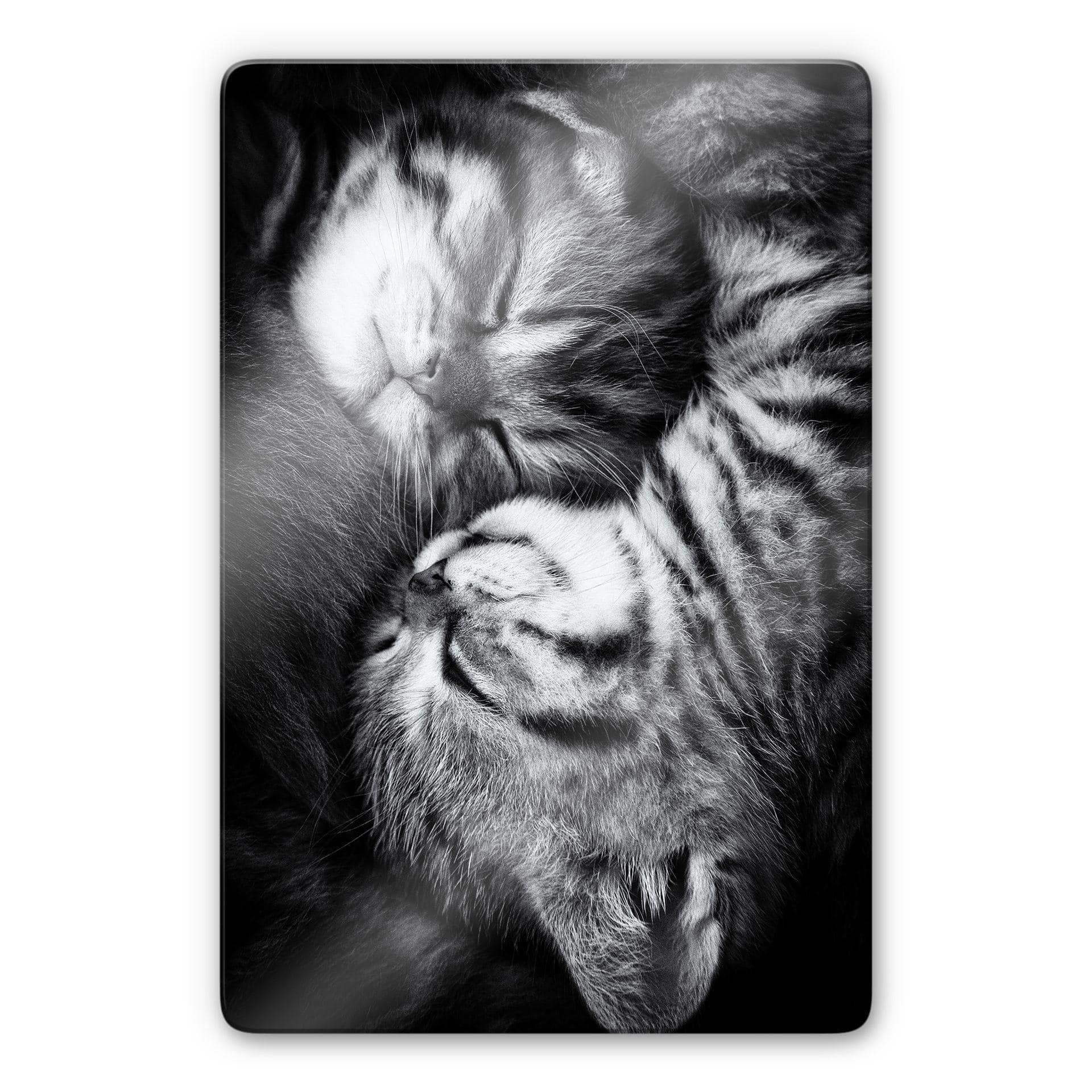 Tableau sur verre Jancova - Sweet Kitten