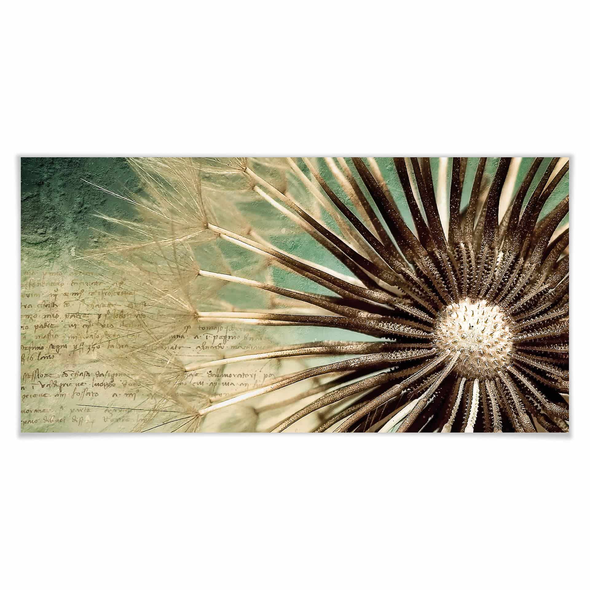 Poster - Pissenlit - Panorama