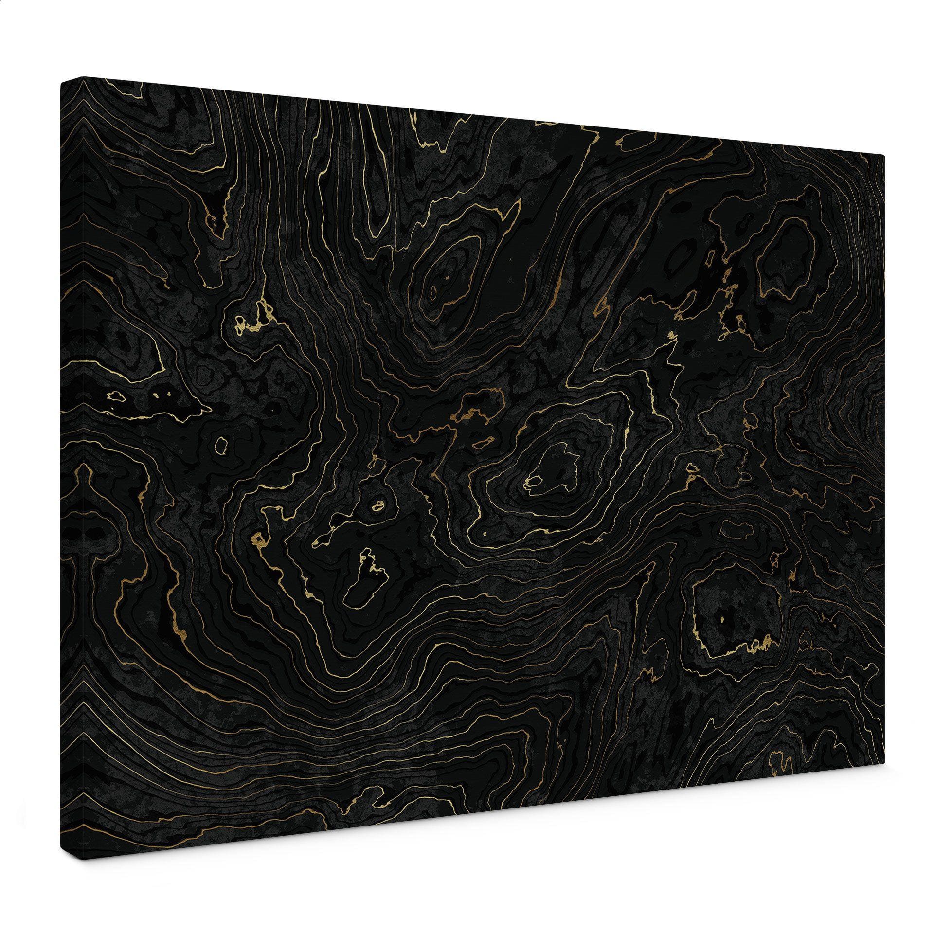 Lienzo Líneas abstractas negro-dorado - Amini