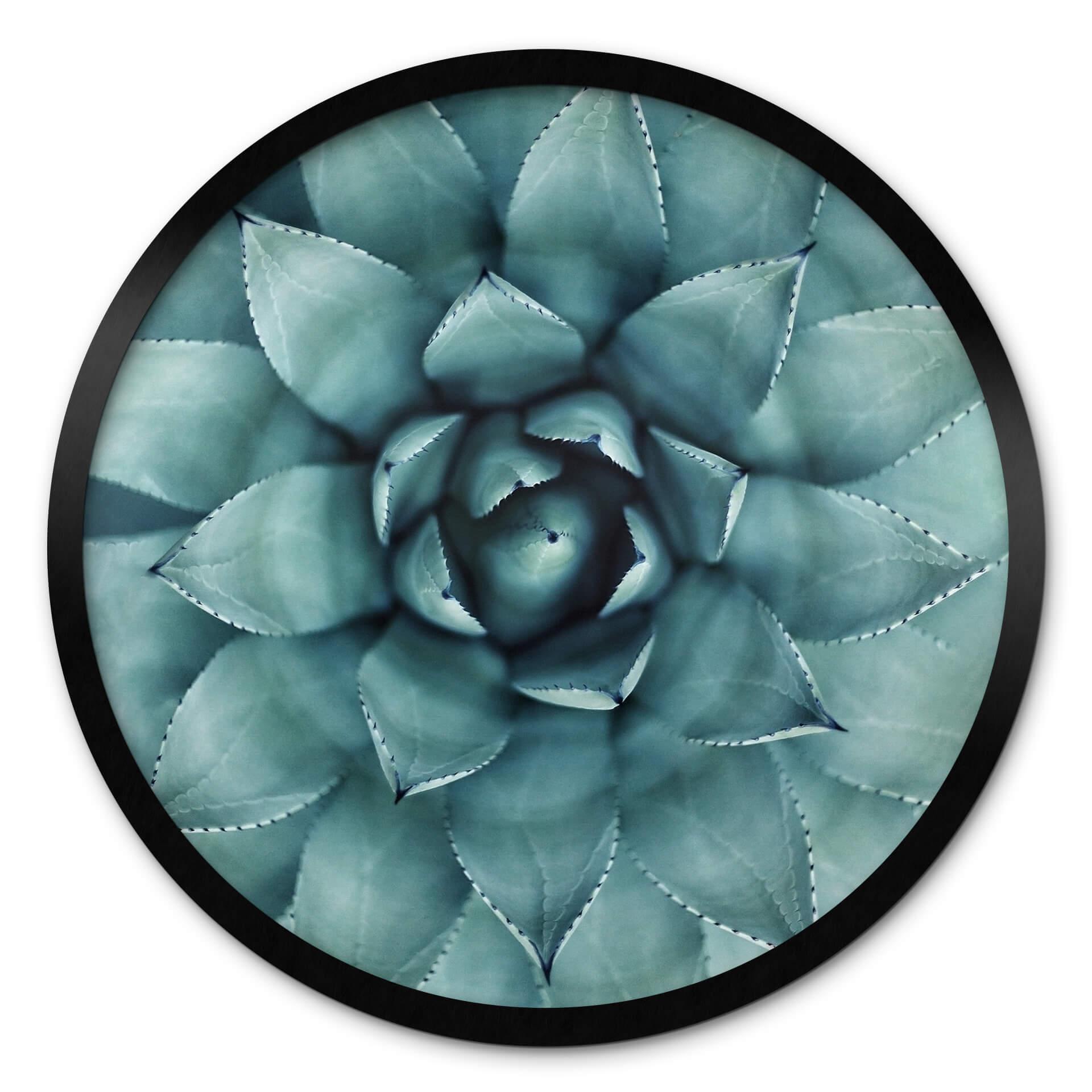 Plakat Agave 02