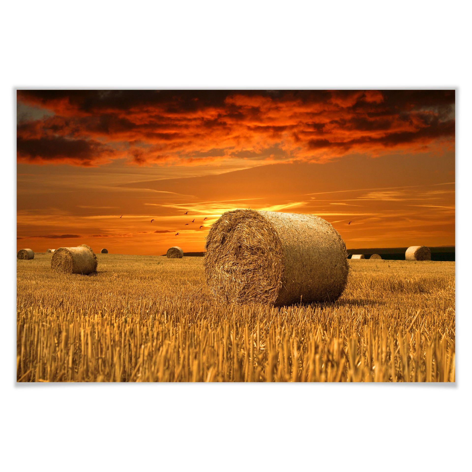 Poster - Ballots de paille