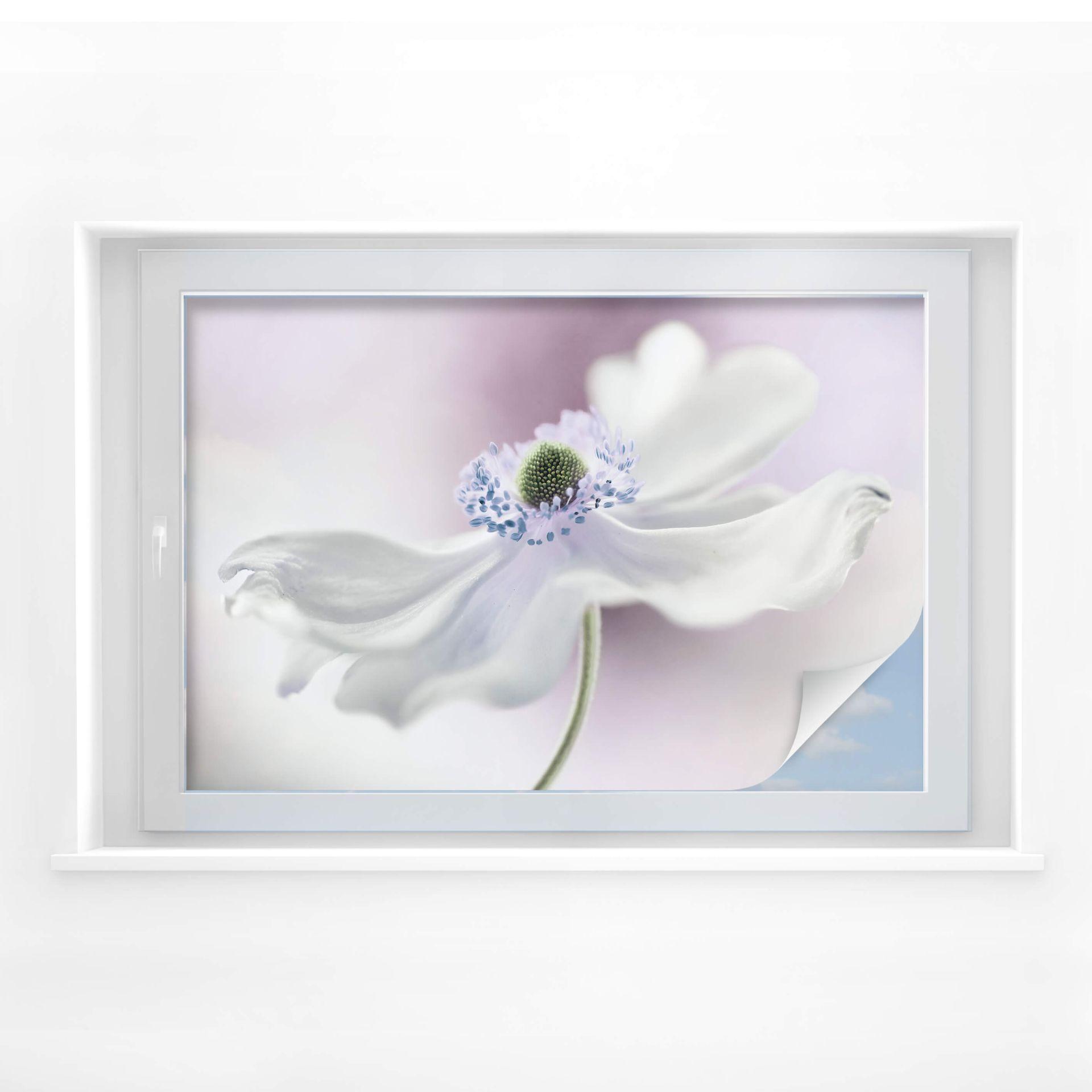 Lámina de privacidad Disher - Anemone Breeze