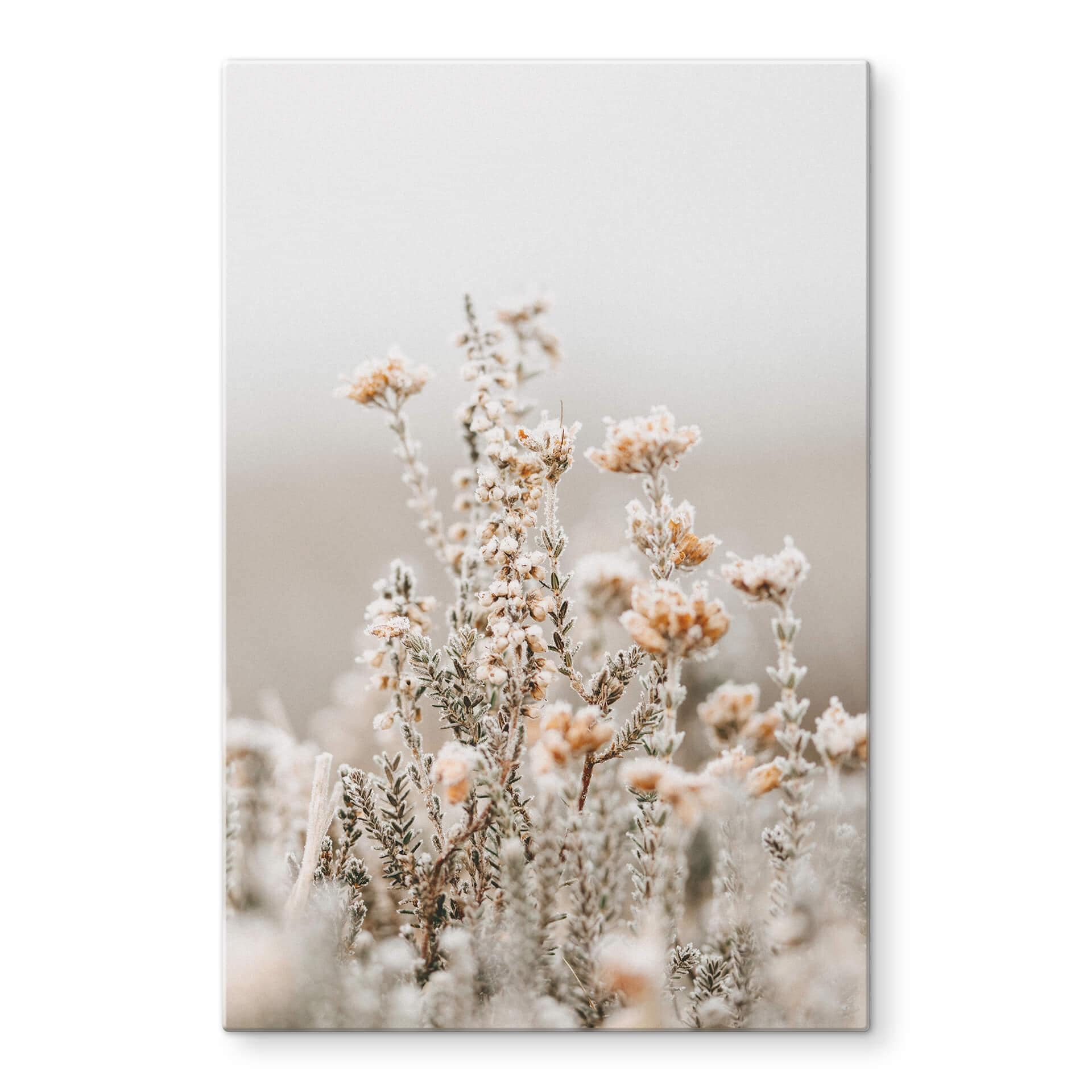 Tableau sur verre Annie - Fleurs de glace