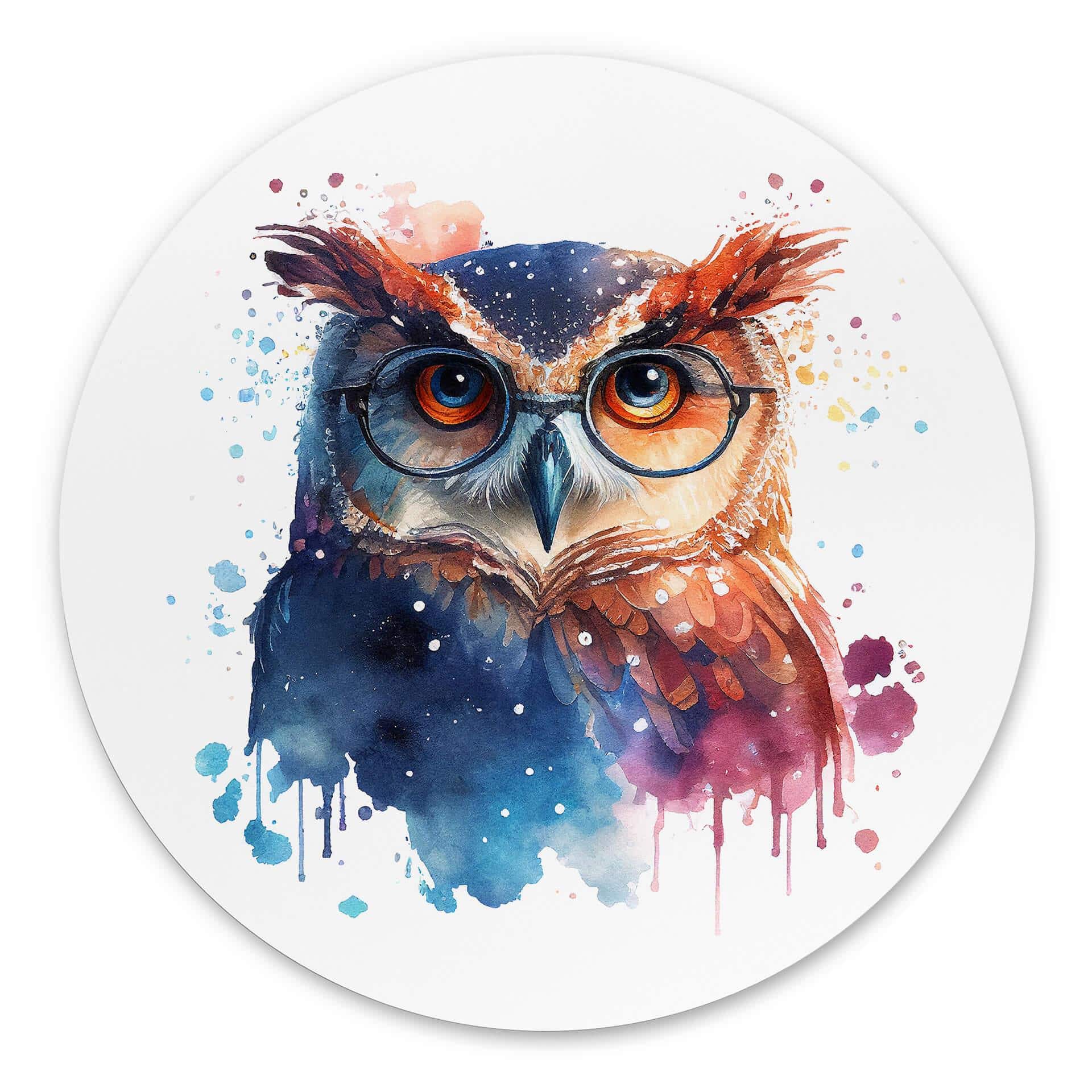 Vægcirkel Heine - Intelligent Owl – print på aluminium (Alu-Dibond)