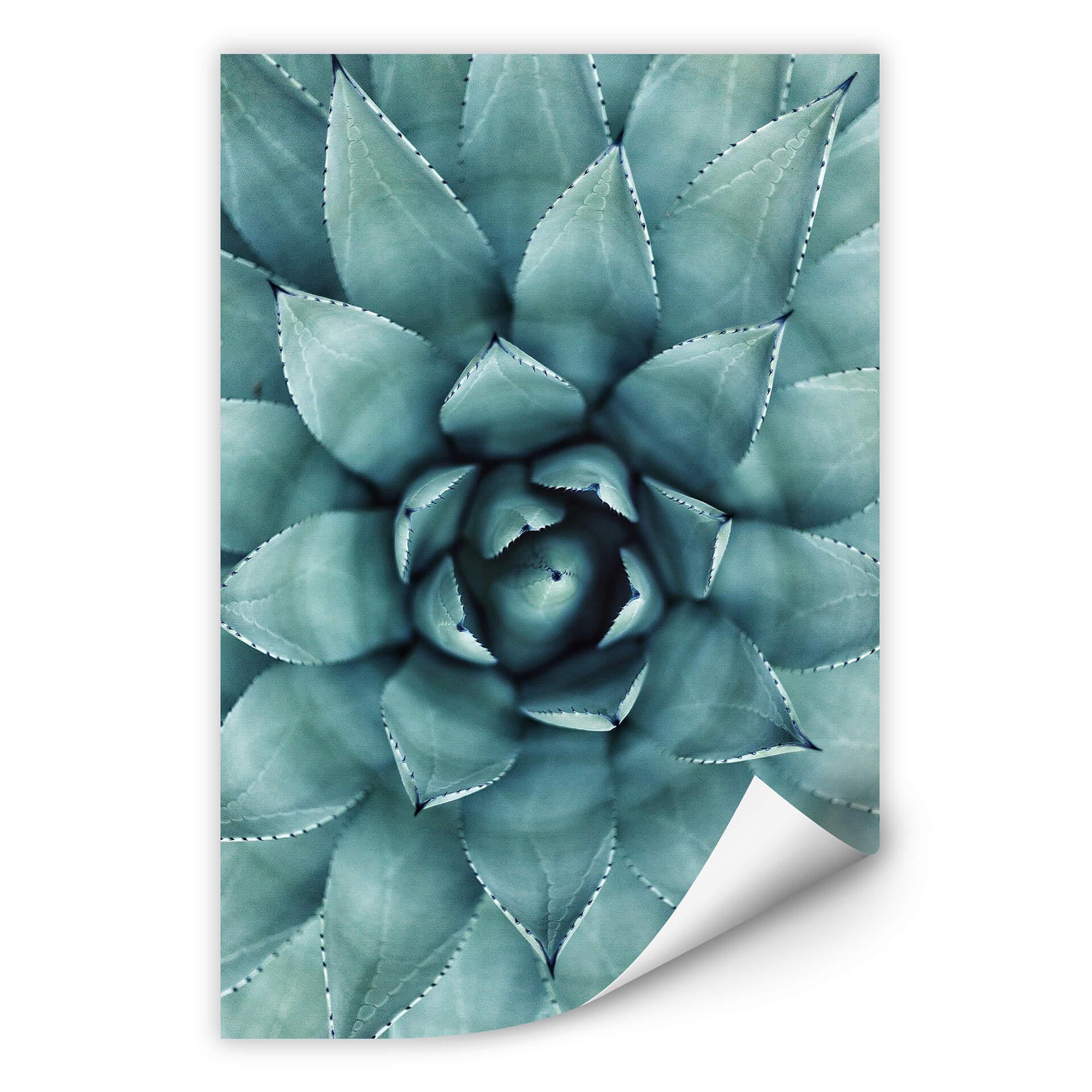 Zelfklevende Poster Agave 02