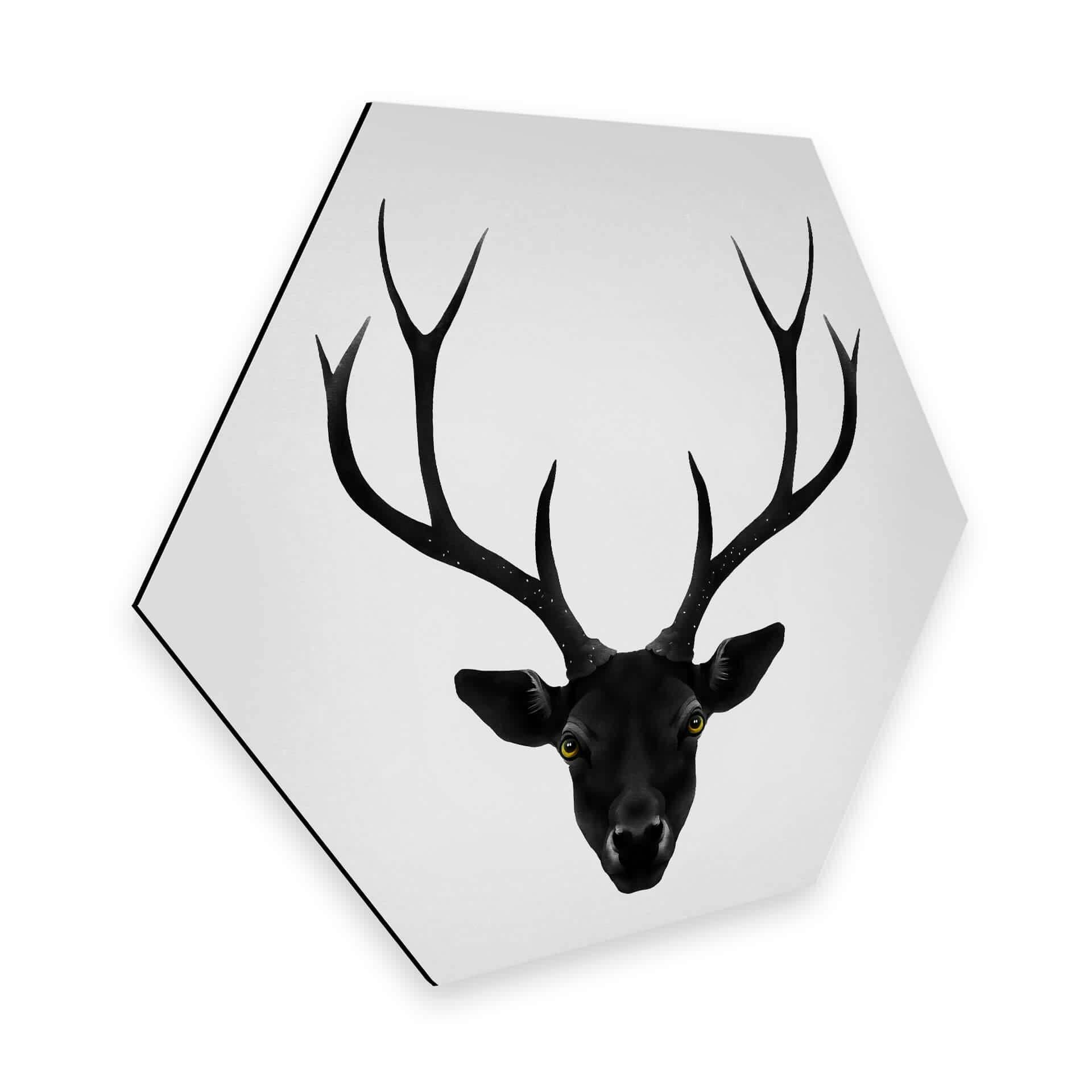 Hexagone - Tableau sur alu-Dibond Ireland - The Cerf noir