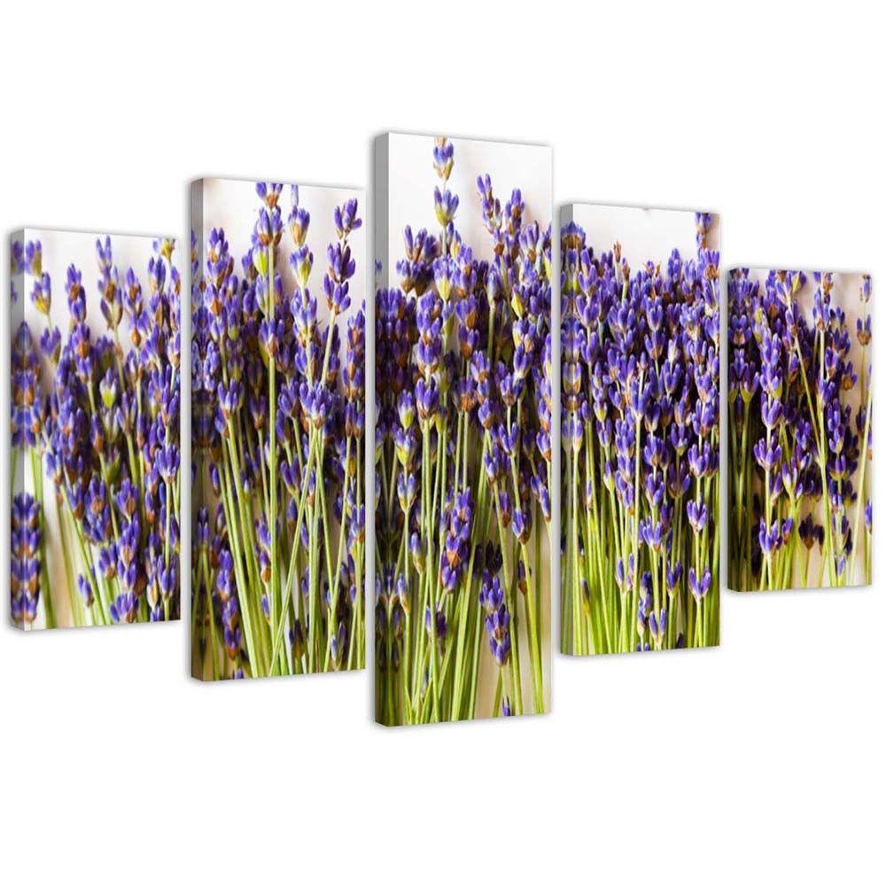 5 stykke lærredsprint, lavendel blomstrer natur