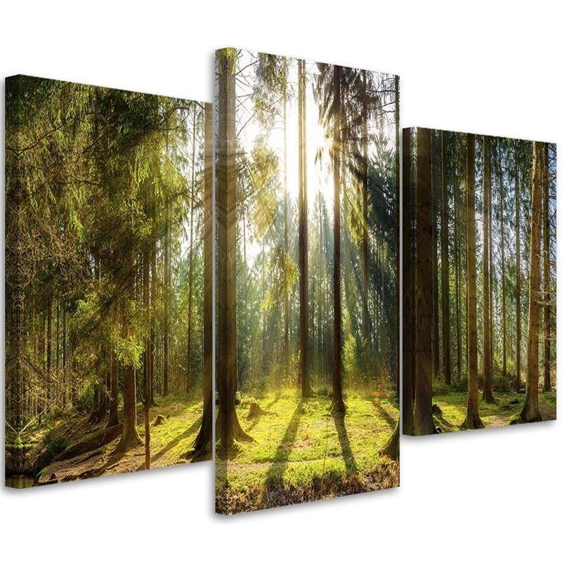 3 stykke lærredsprint, Forest Rays Tree Nature