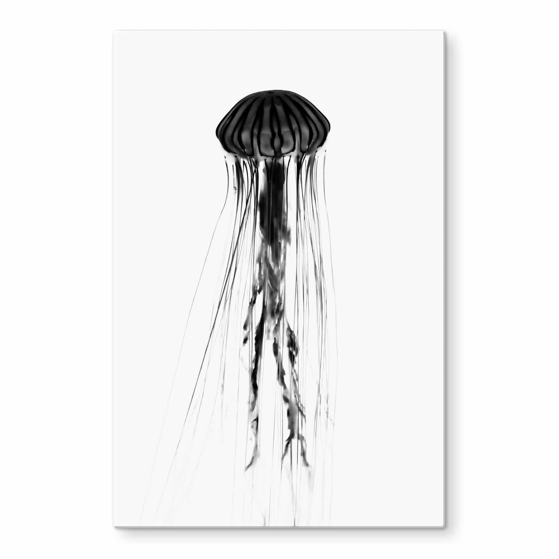 Tableau en verre - Méduse noire
