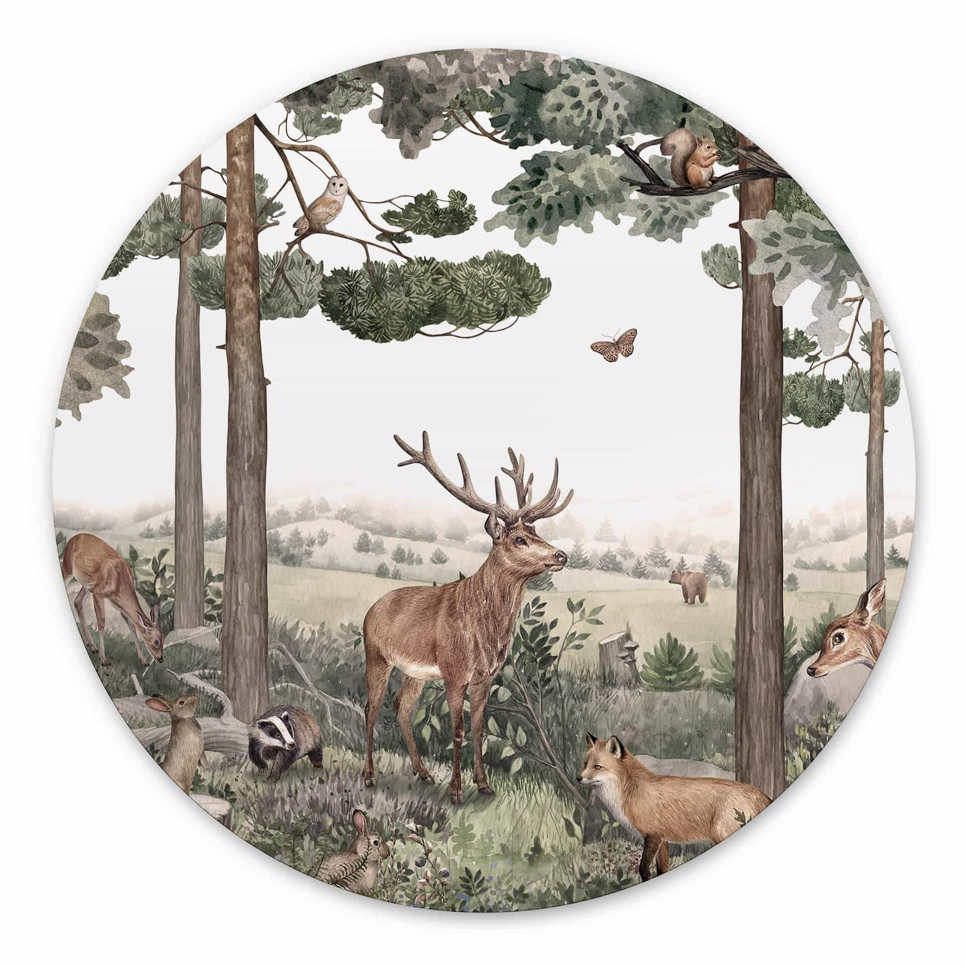 Tableau sur alu-Dibond rond Kikki Belle - Animaux indigènes dans la forêt
