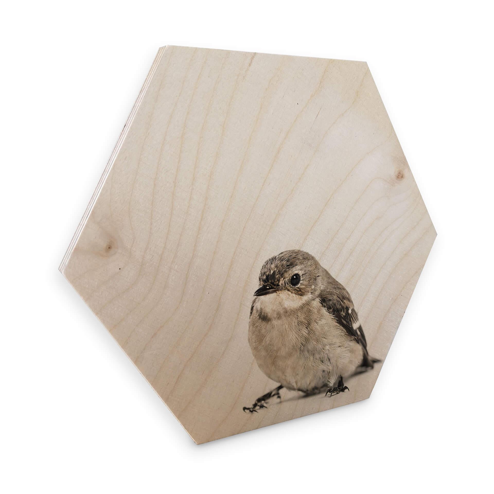 Hexagon hout - klein vogeltje