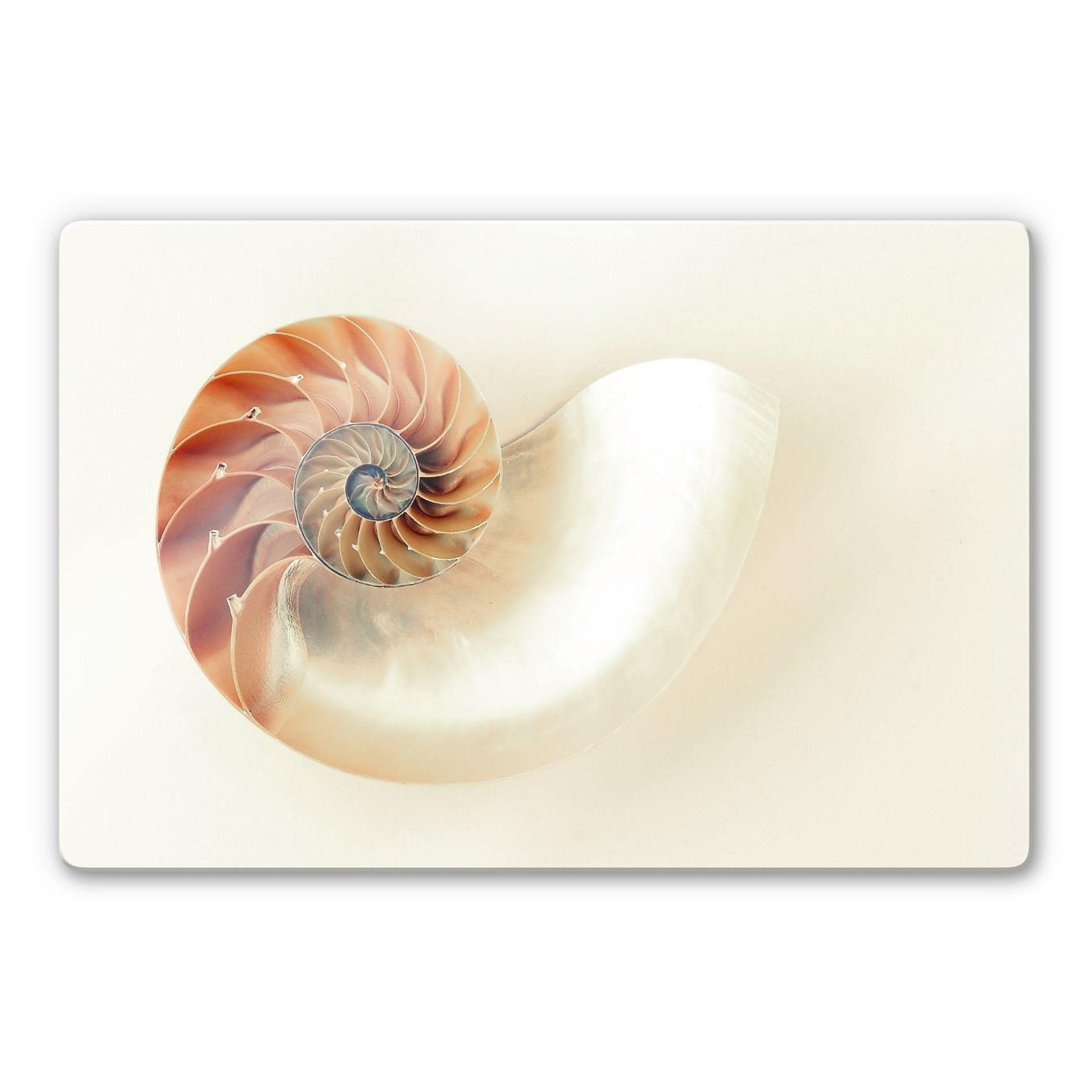 Glasschilderij Nautilus