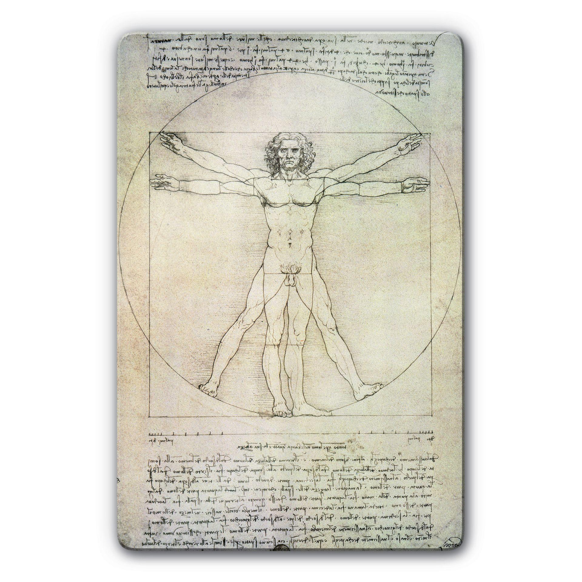 Glasbillede - da Vinci - The Vitruvian Man