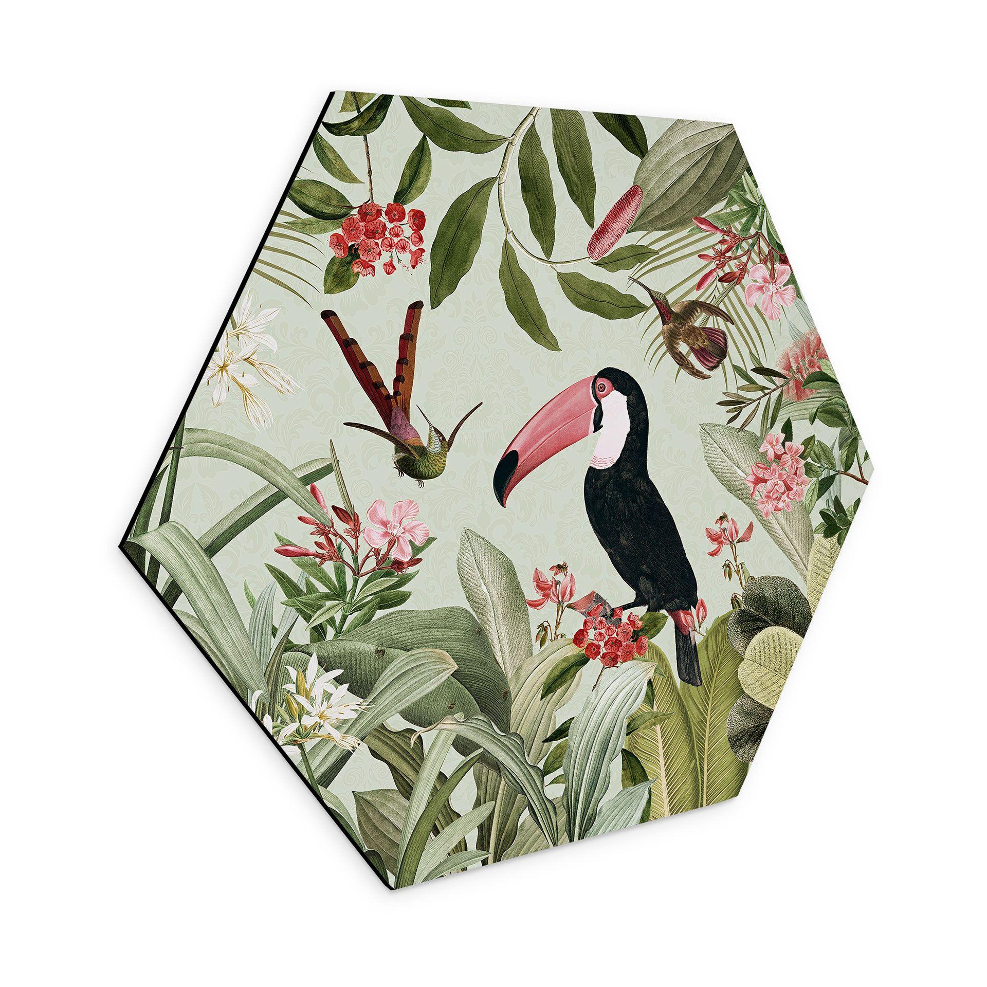 Hexagon Dibond Tukan i et jungleparadis - UN Designs