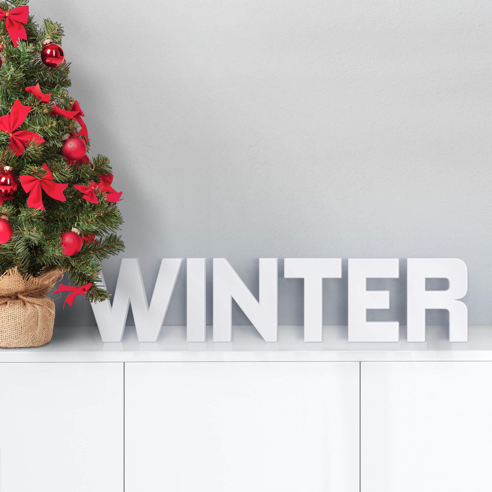 3D WINTER (stilfuldt julepynt)